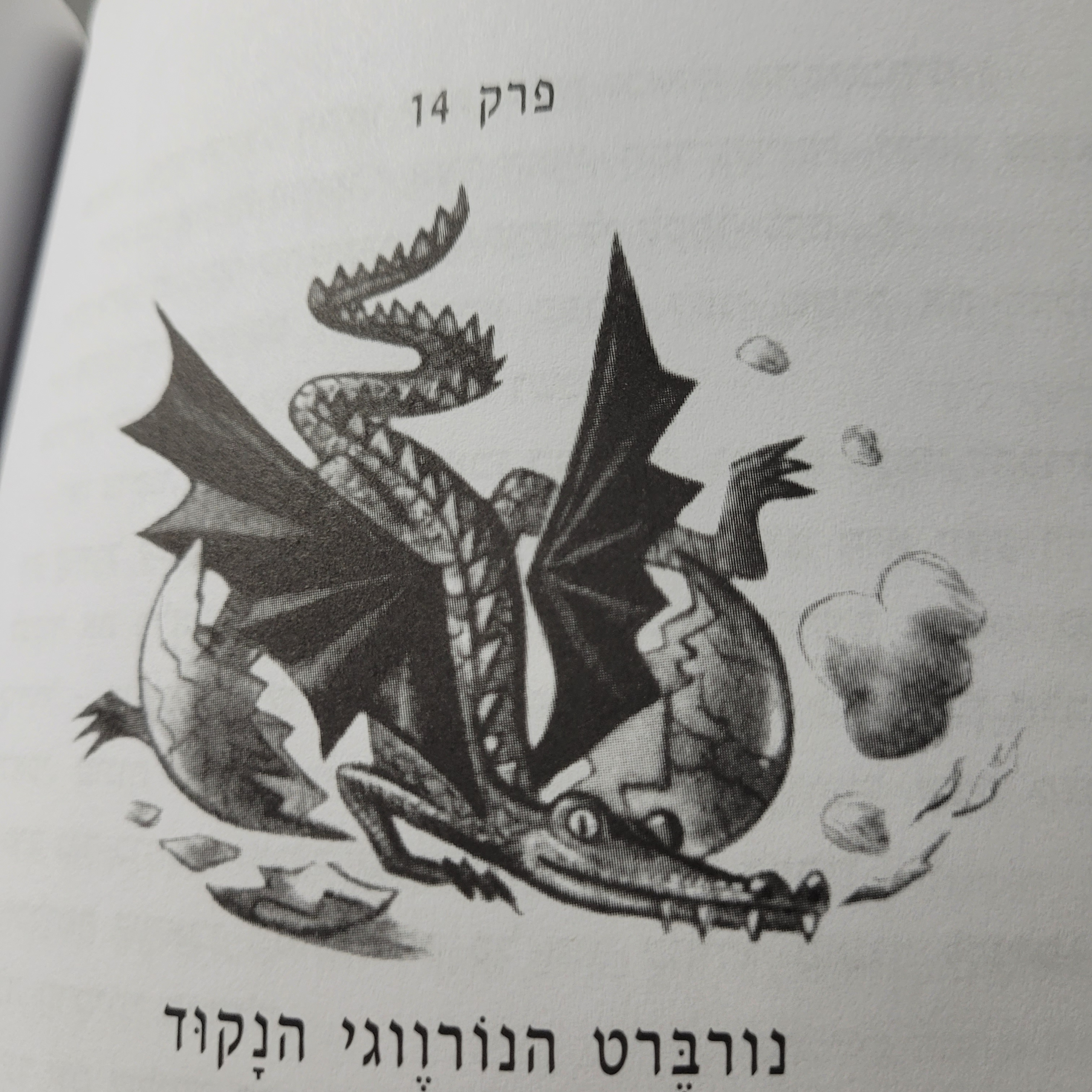 פרק 14 - הדרקון