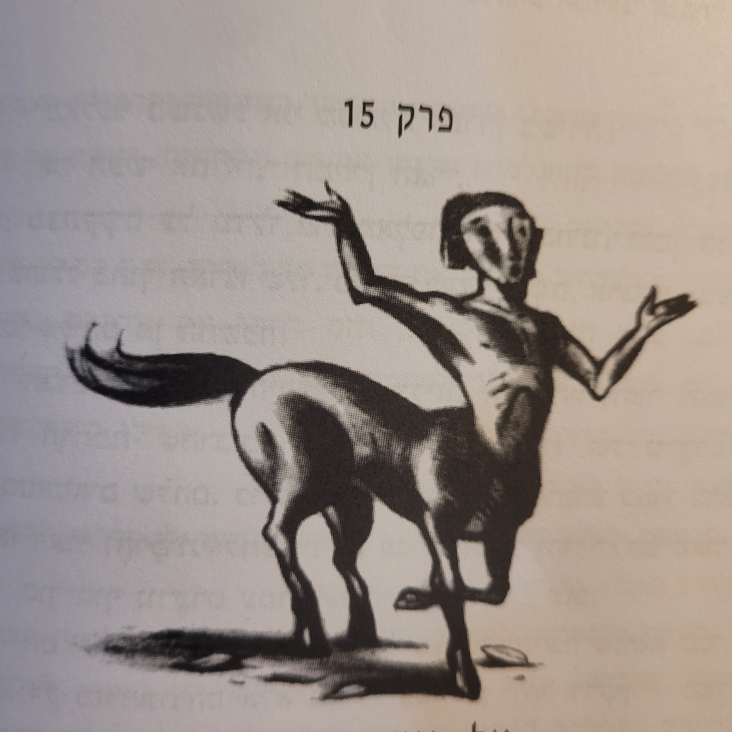 פרק 15 (חלק ב) - אל היער האסור