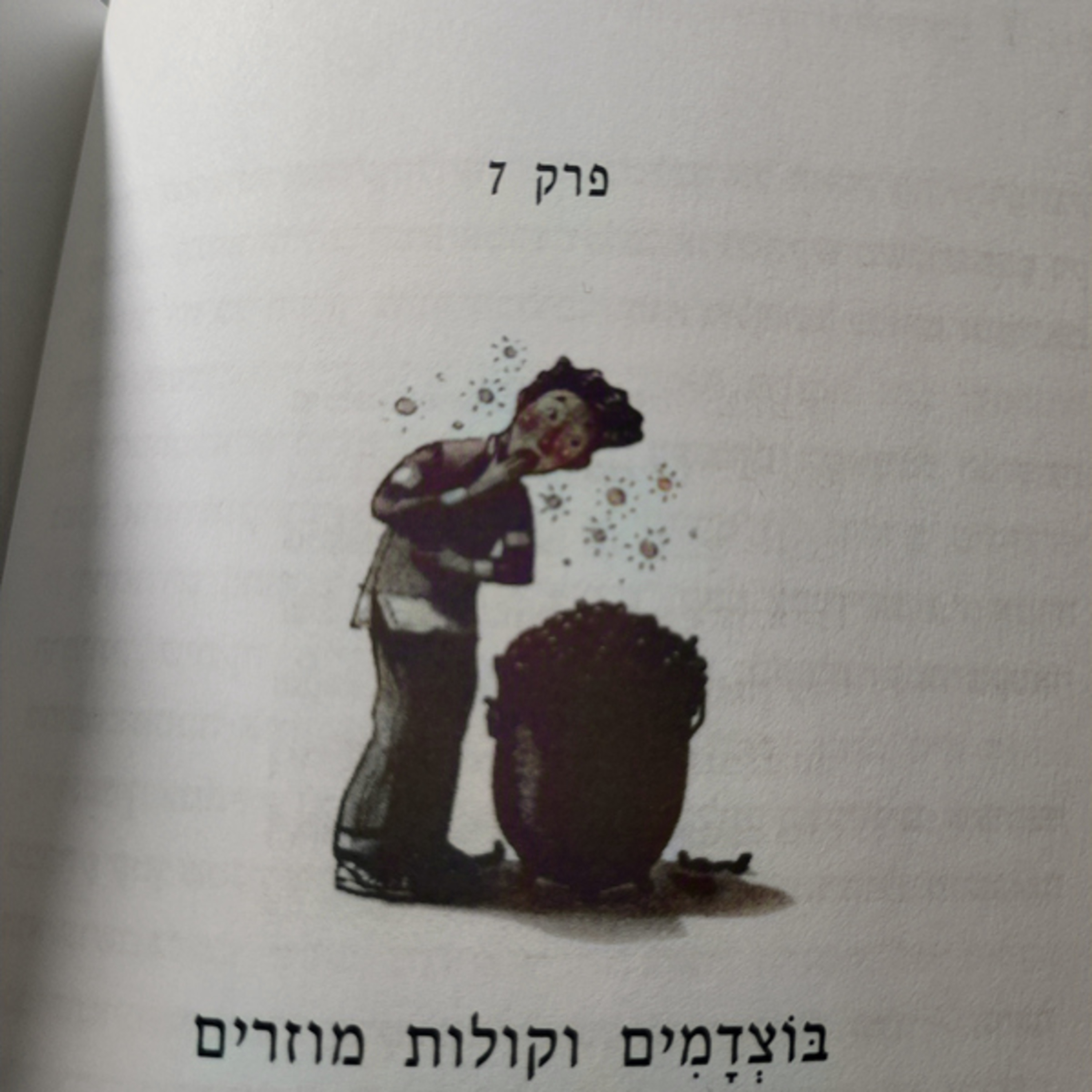 הארי פוטר וחדר הסודות - פרק 7 - בוצדמים וקולות מוזרים