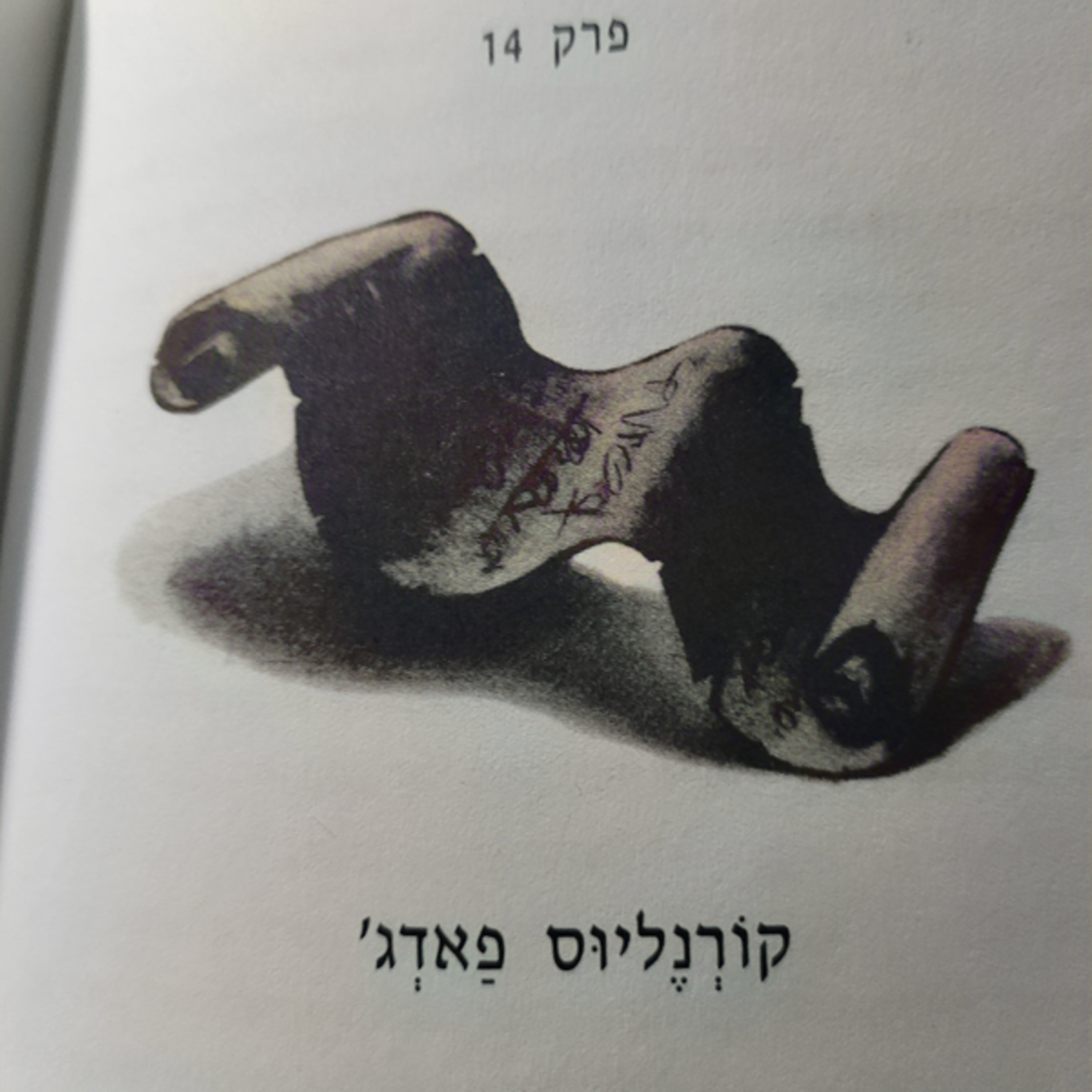 הארי פוטר וחדר הסודות - פרק 14 - קורנליוס פאדג