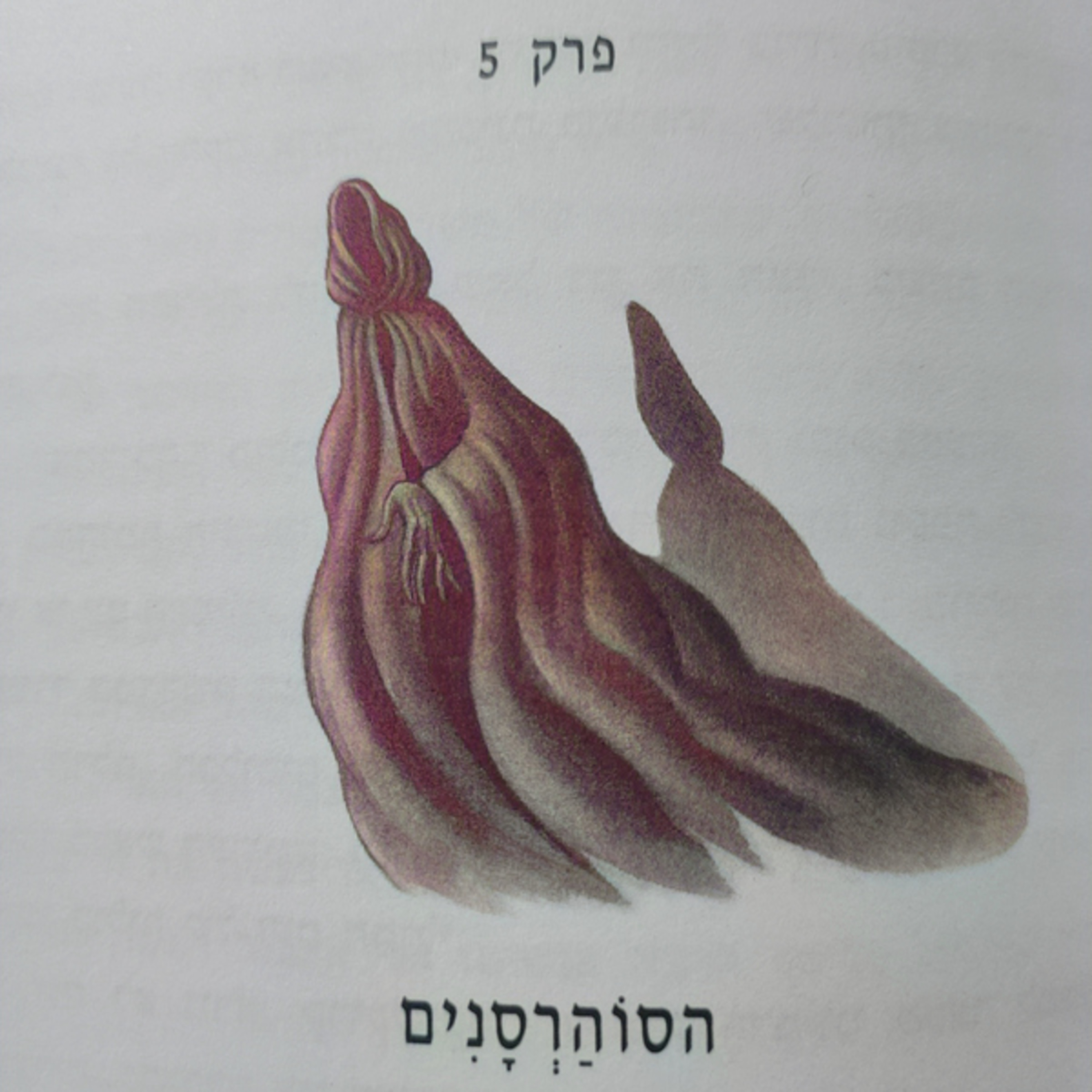 הארי פוטר והאסיר מאזקבאן - פרק 5 - הסוהרסנים