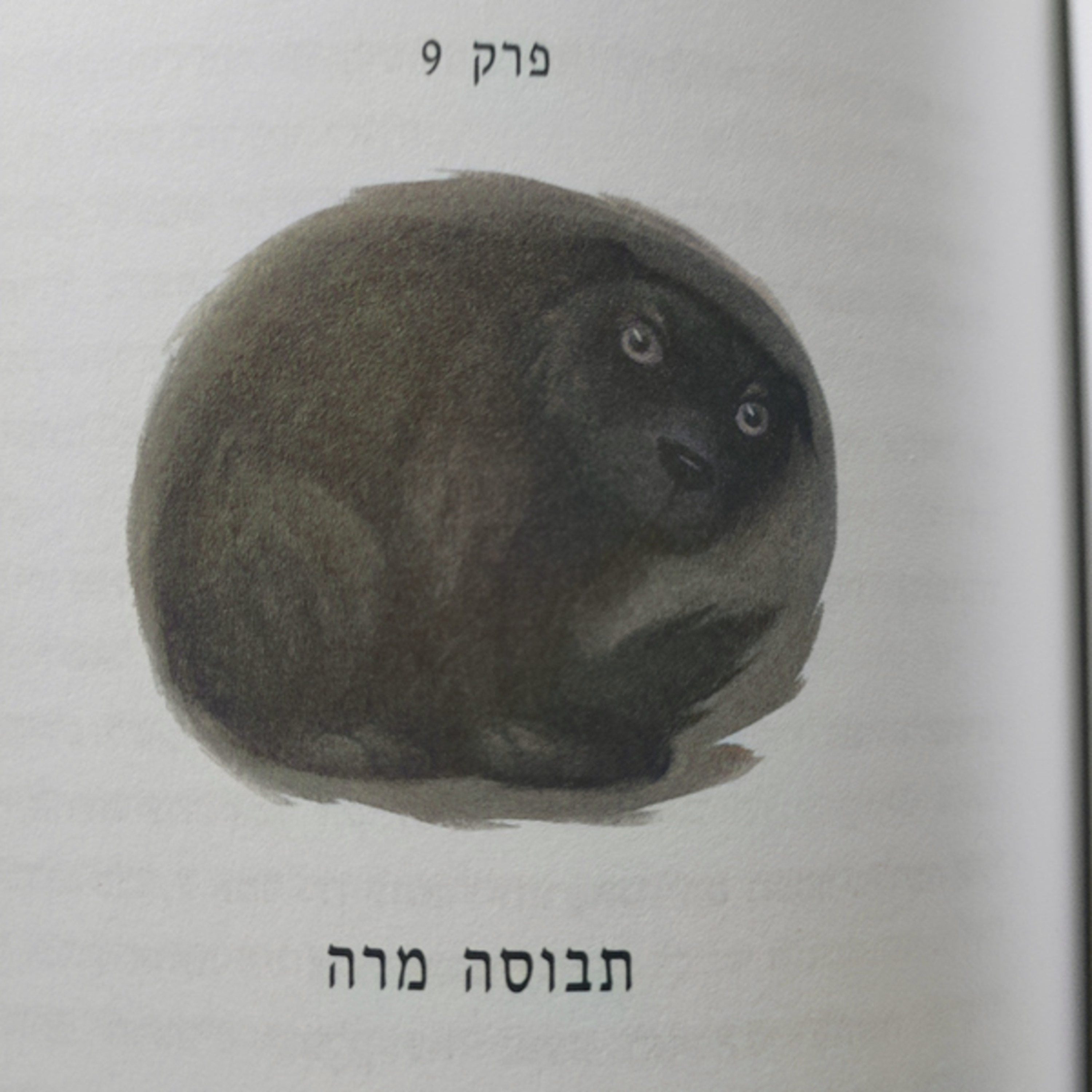 הארי פוטר והאסיר מאזקבאן - פרק 9 - תבוסה מרה