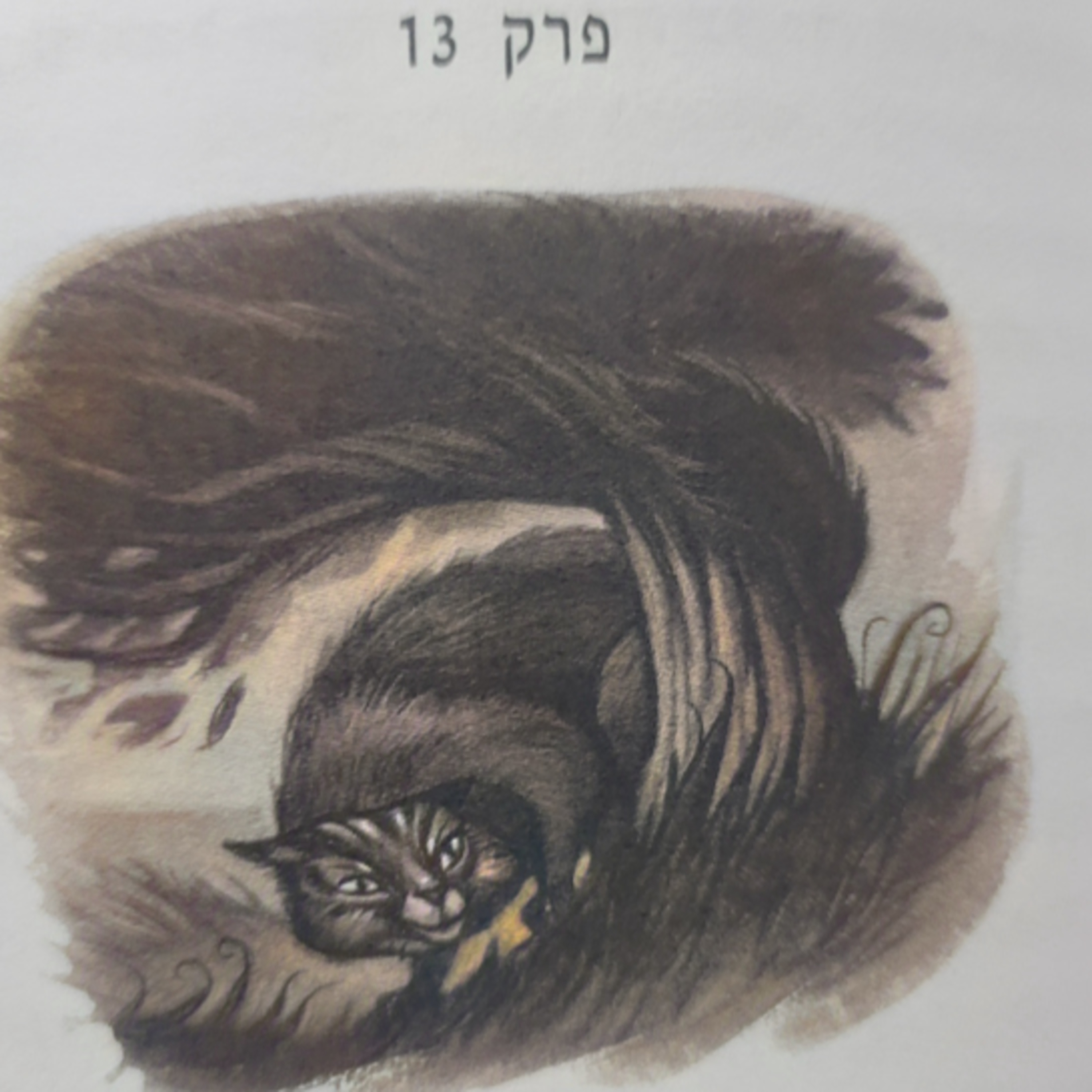 הארי פוטר והאסיר מאזקבאן - פרק 13 - גריפינדור נגד רייבנקלו