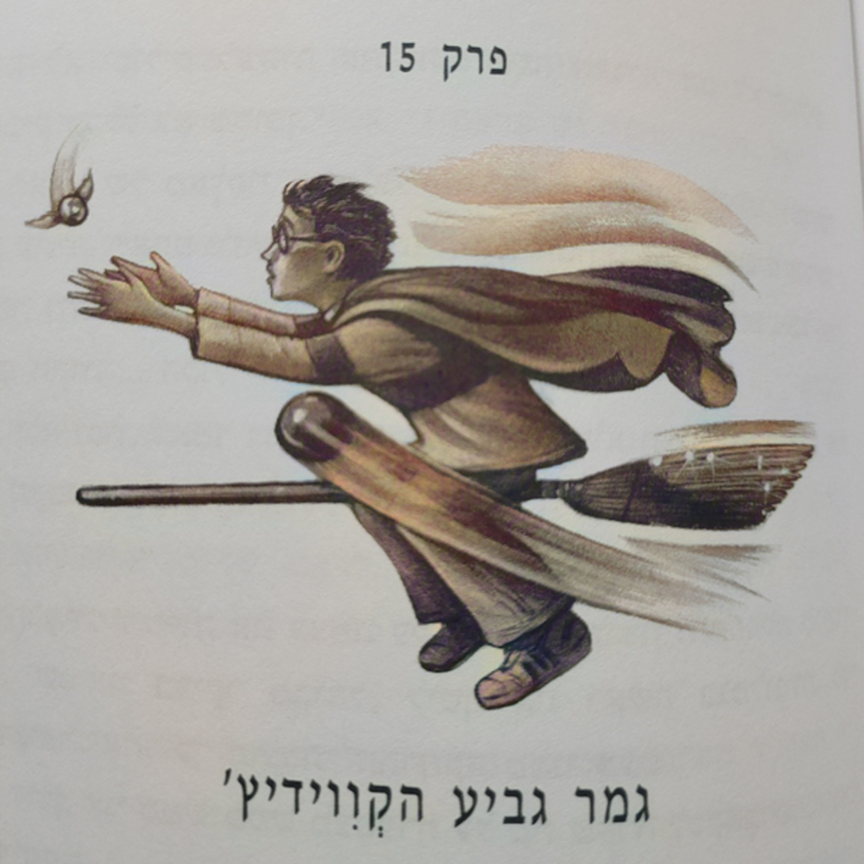 הארי פוטר והאסיר מאזקבאן - פרק 15 - גמר גביע הקווידיץ