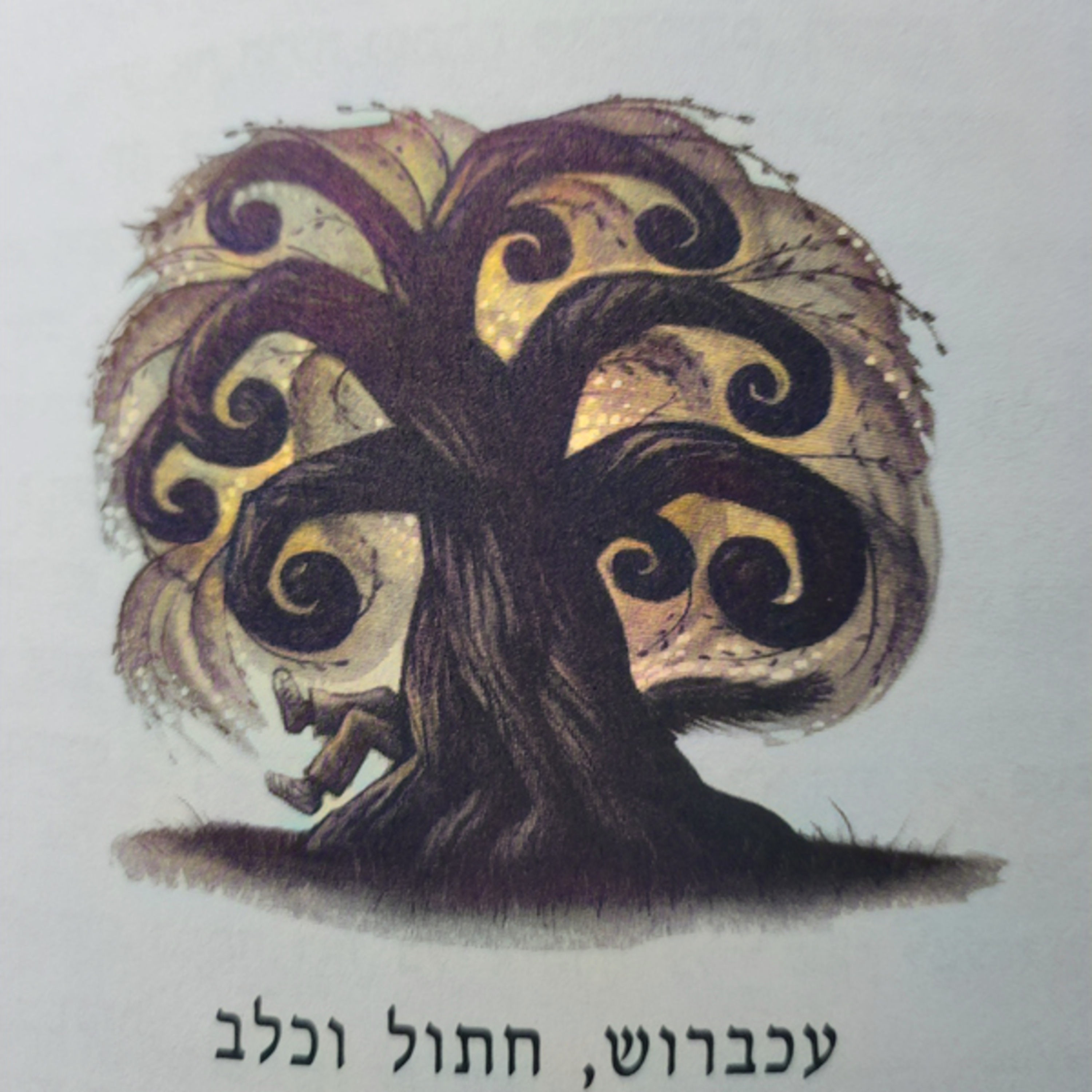 הארי פוטר והאסיר מאזקבאן - פרק 17 - עכברוש, חתול וכלב