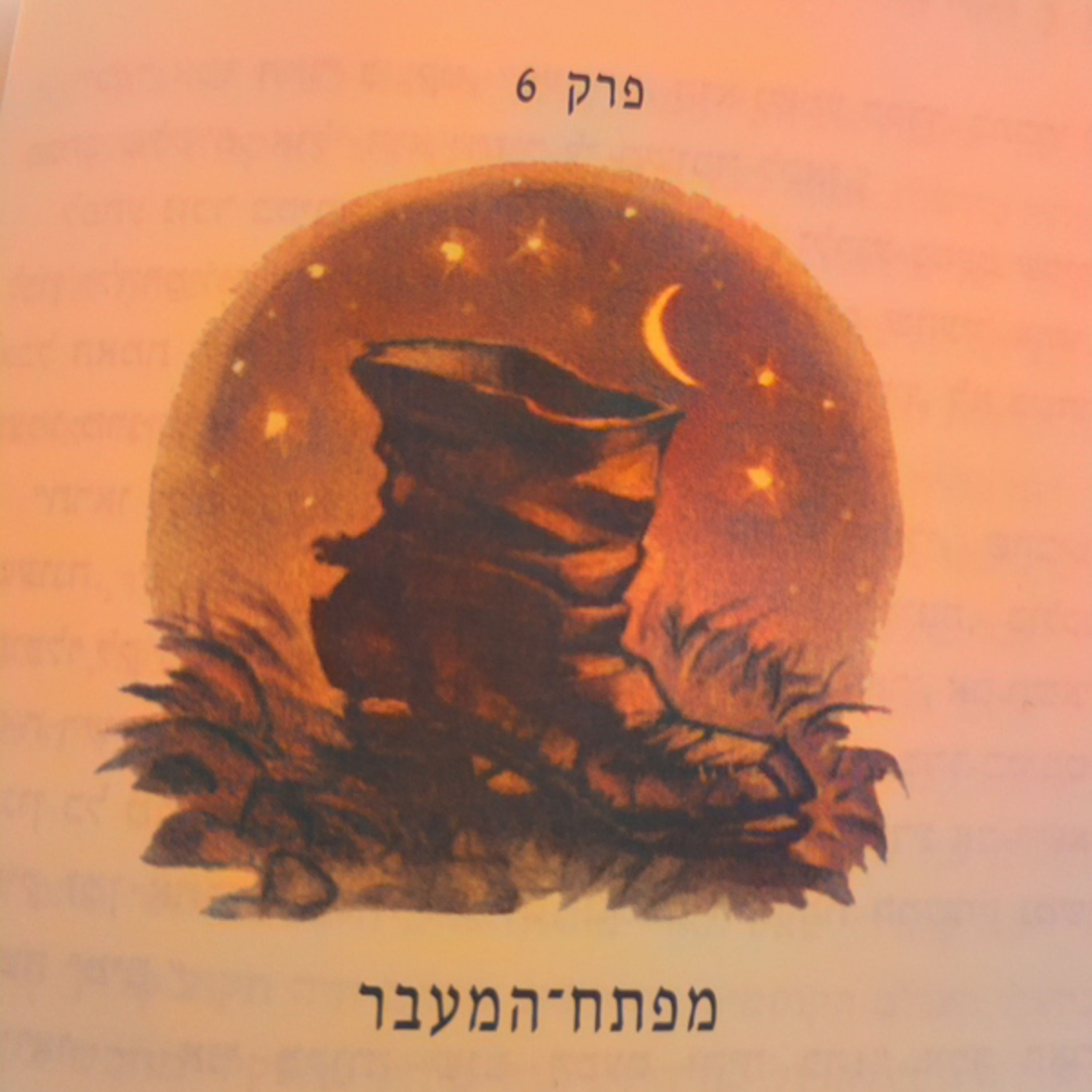 הארי פוטר וגביע האש - פרק 6 - מפתח המעבר