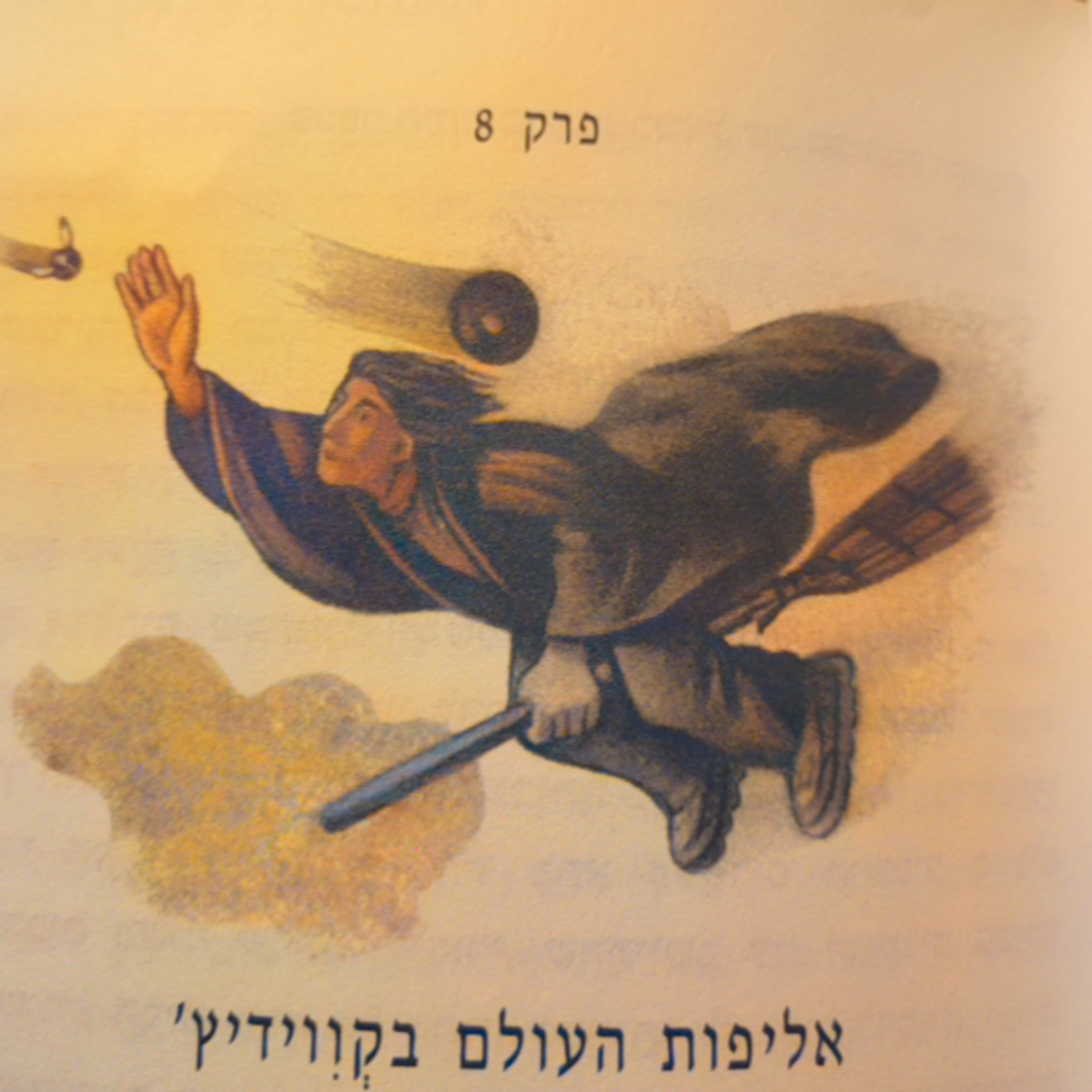 הארי פוטר וגביע האש - פרק 8 - אליפות העולם בקווידיץ