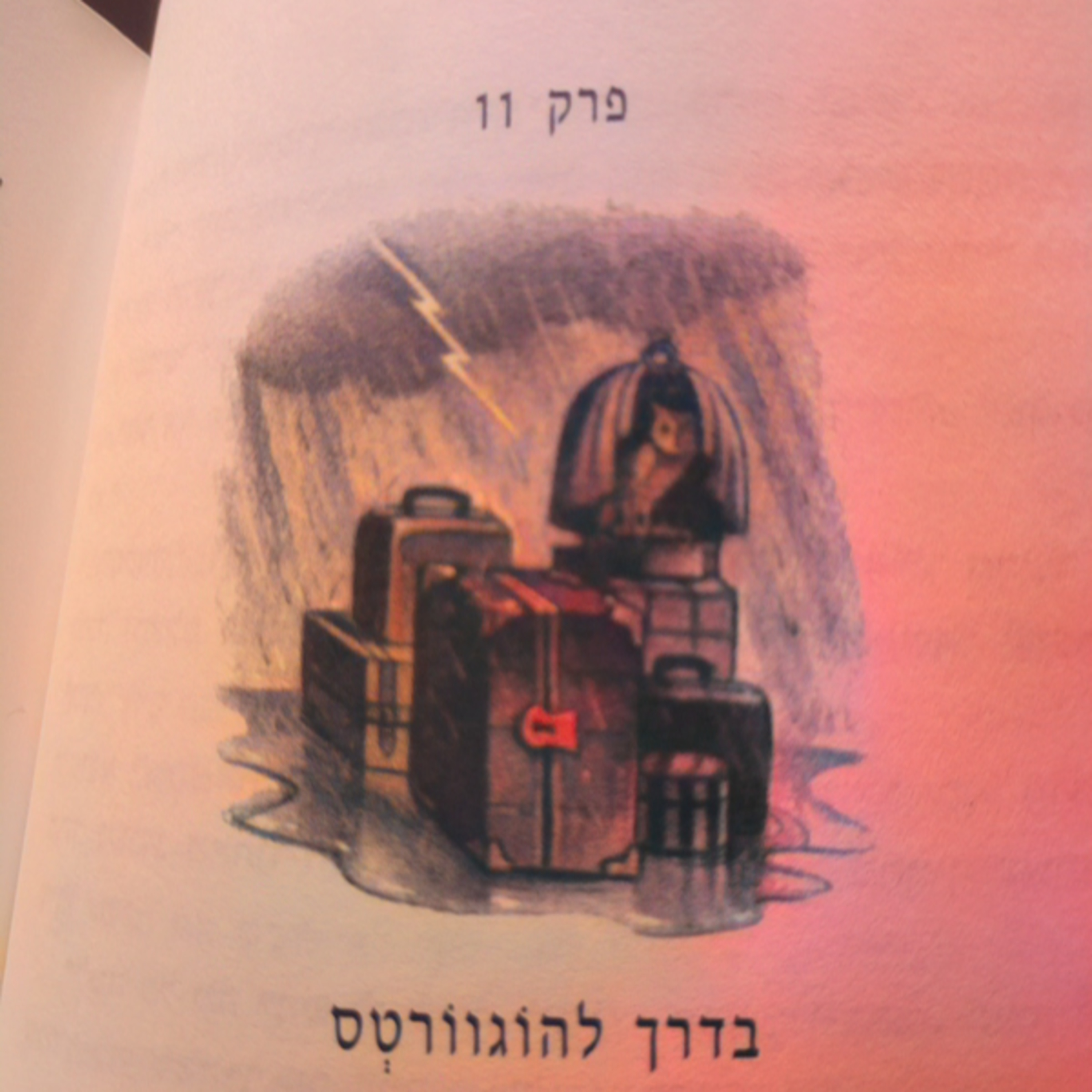 הארי פוטר וגביע האש - פרק 11- בדרך להוגוורטס