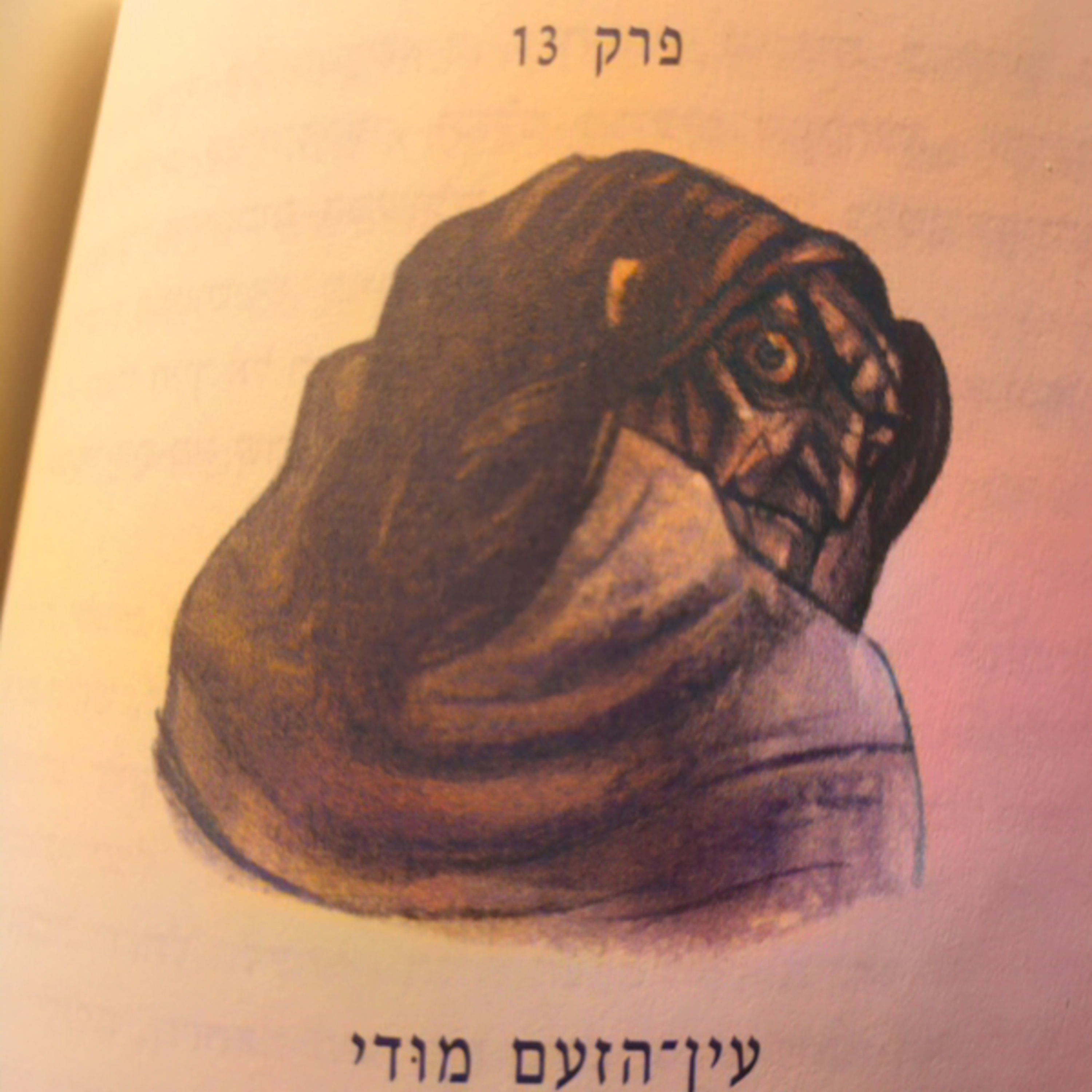 הארי פוטר וגביע האש - פרק 13 - עין הזעם מודי