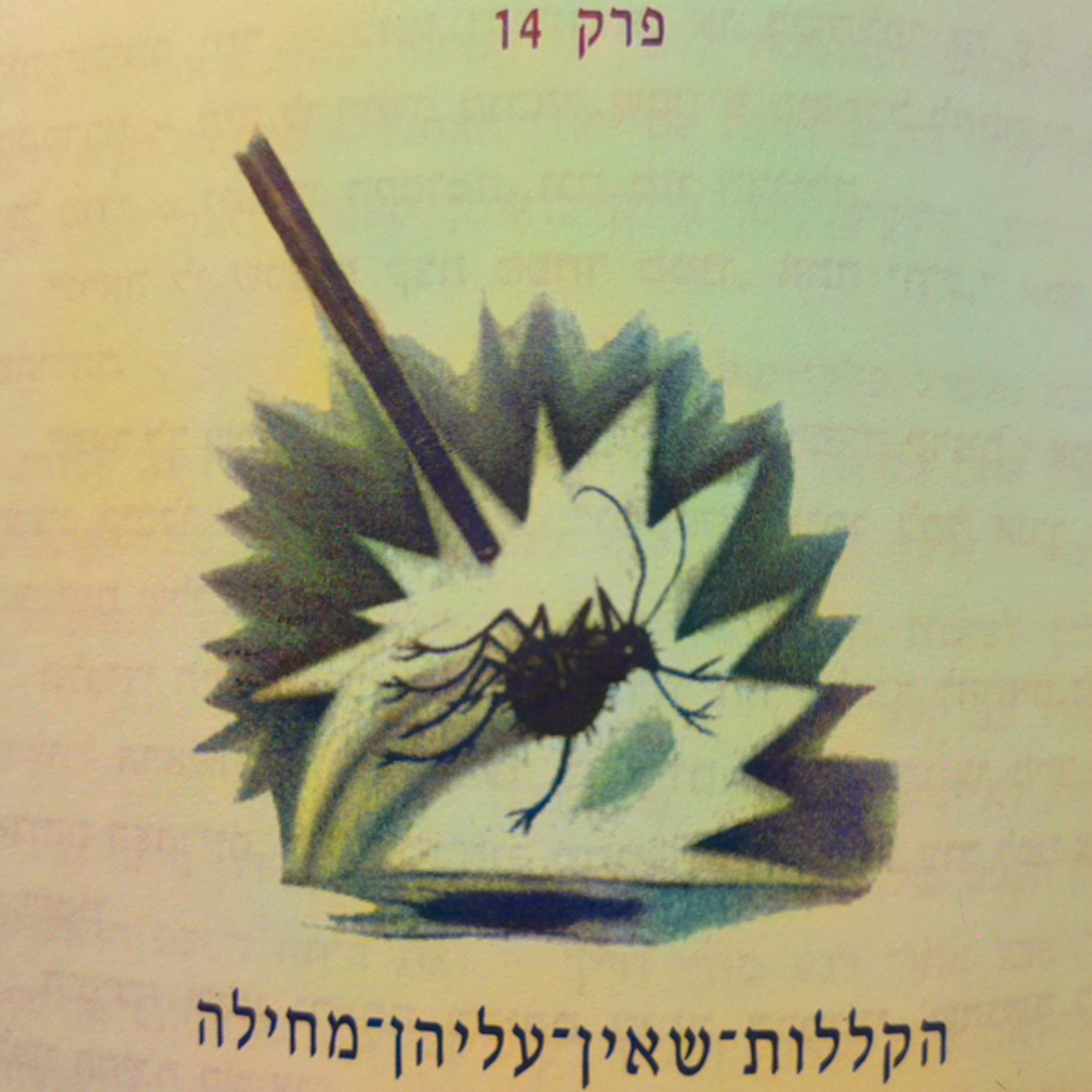 הארי פוטר וגביע האש - פרק 14 - הקללות שאין עליהן מחילה