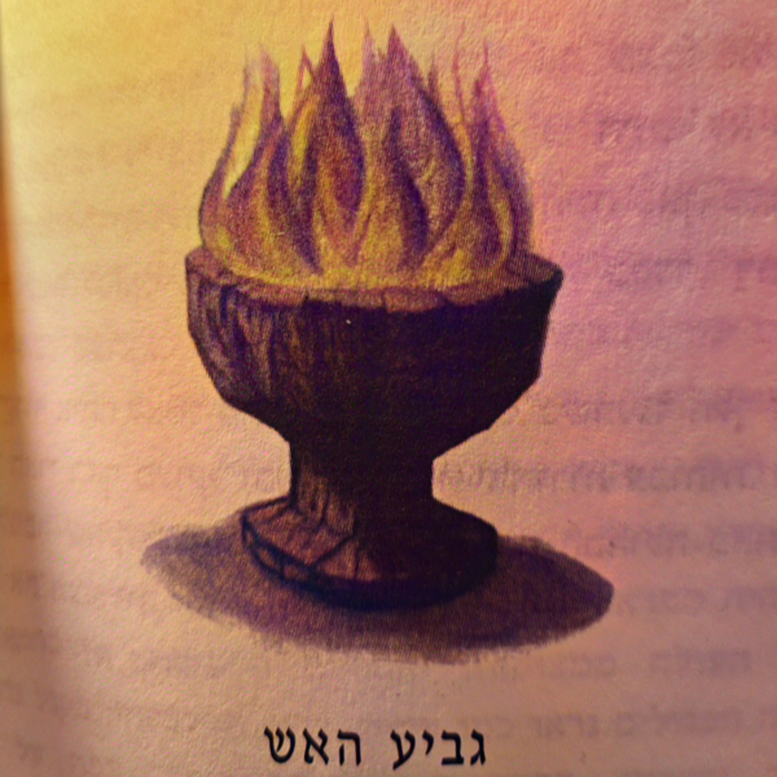 הארי פוטר וגביע האש - פרק 16 - גביע האש