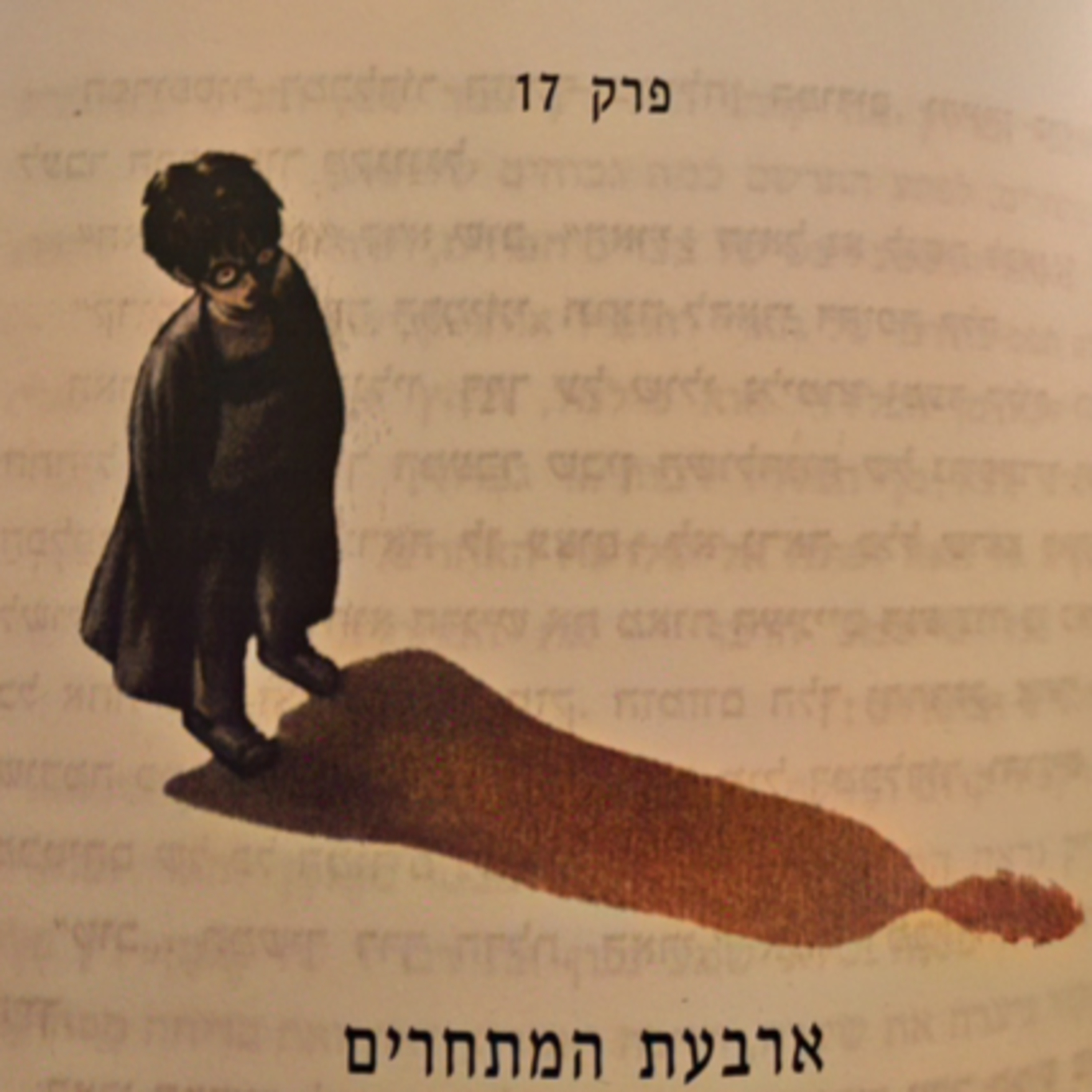 הארי פוטר וגביע האש - פרק 17 - ארבעת המתחרים