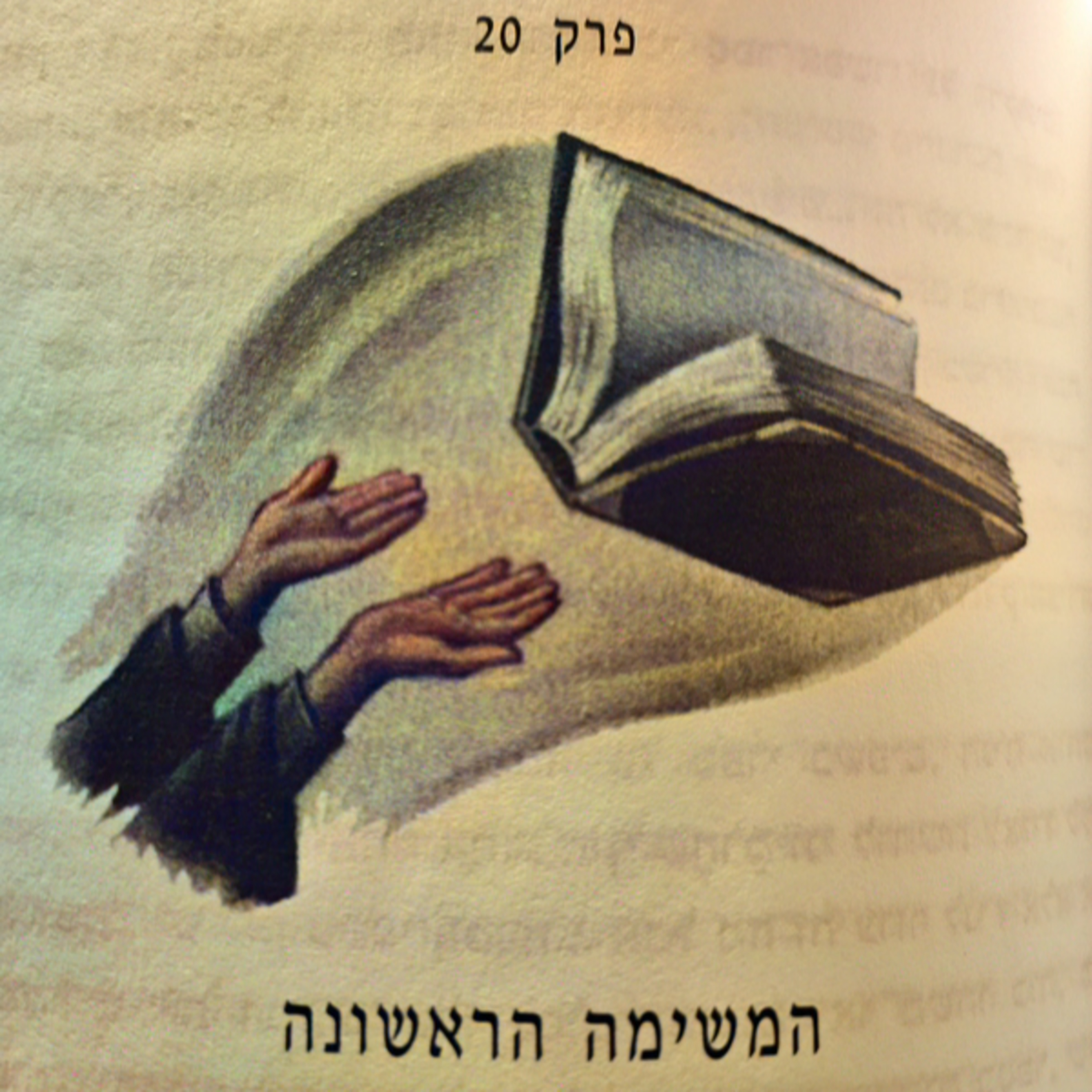 הארי פוטר וגביע האש - פרק 20 - המשימה הראשונה