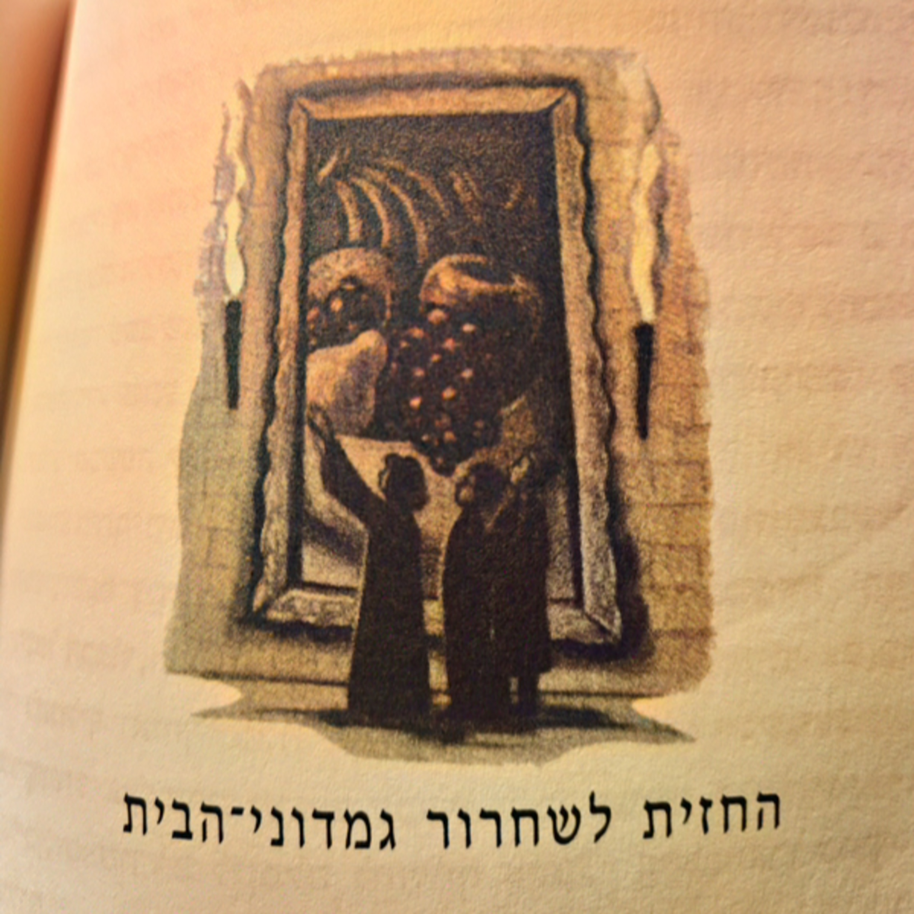 הארי פוטר וגביע האש - פרק 21 - החזית לשחרור גמדוני הבית