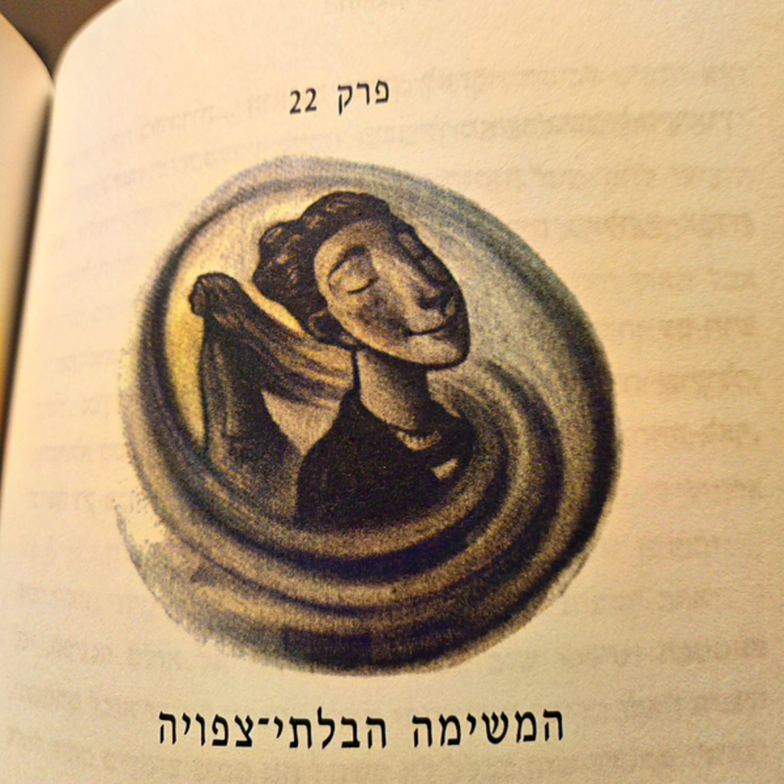 הארי פוטר וגביע האש - פרק 22 - המשימה הבלתי צפויה