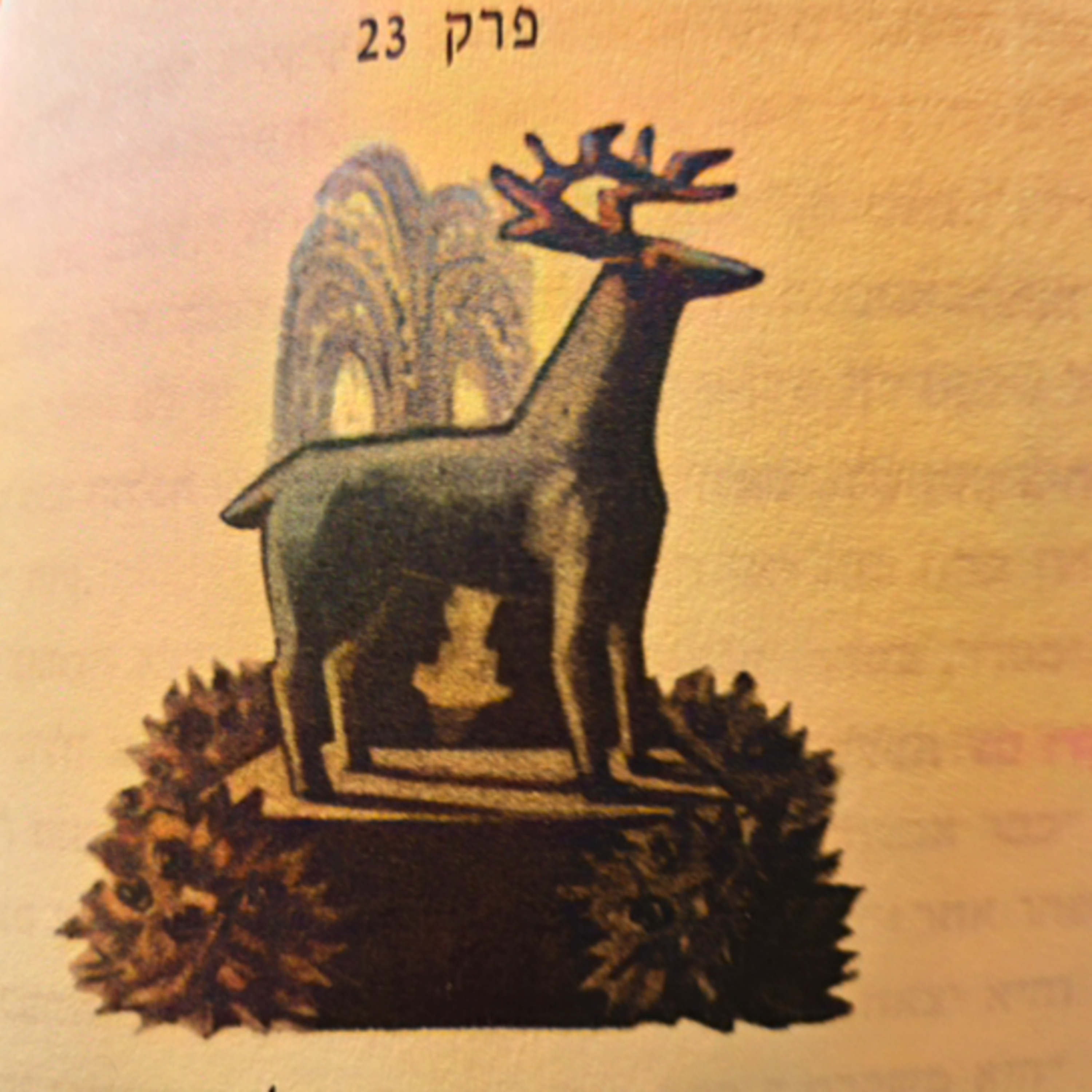 הארי פוטר וגביע האש - פרק 23 - הנשף