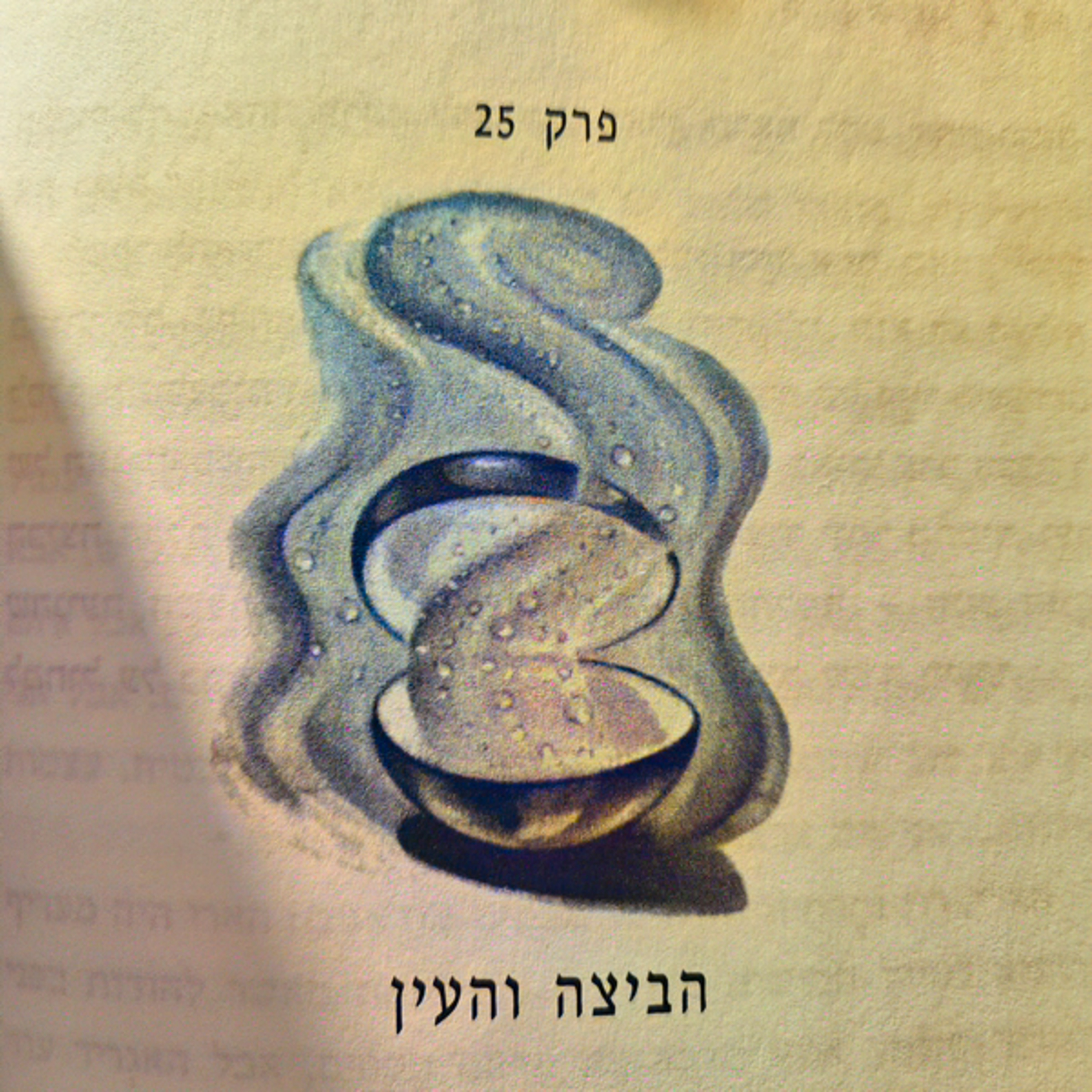 הארי פוטר וגביע האש - פרק 25 - הביצה והעין