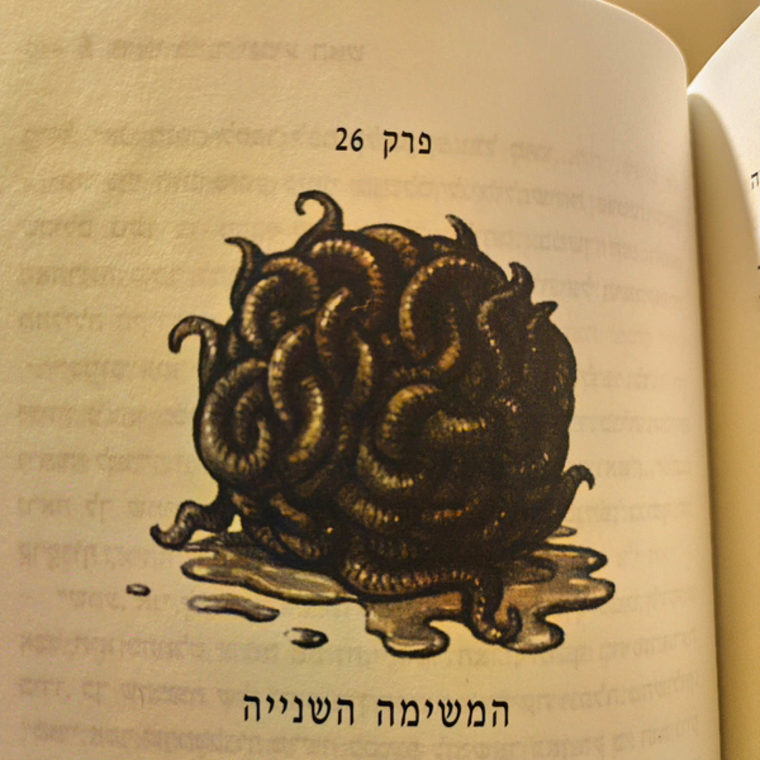 הארי פוטר וגביע האש - פרק 26 - המשימה השנייה