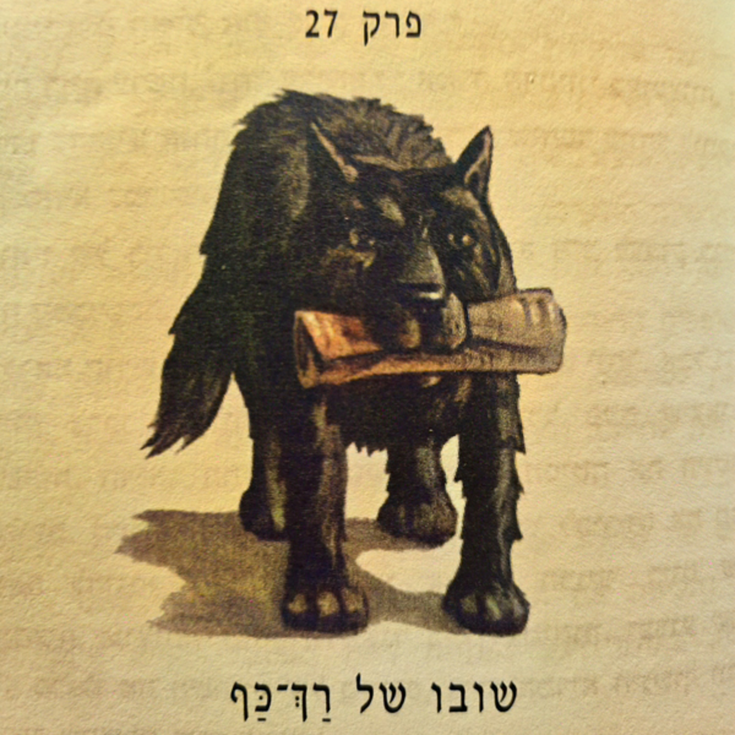 הארי פוטר וגביע האש - פרק 27 - שובו של רך-כף