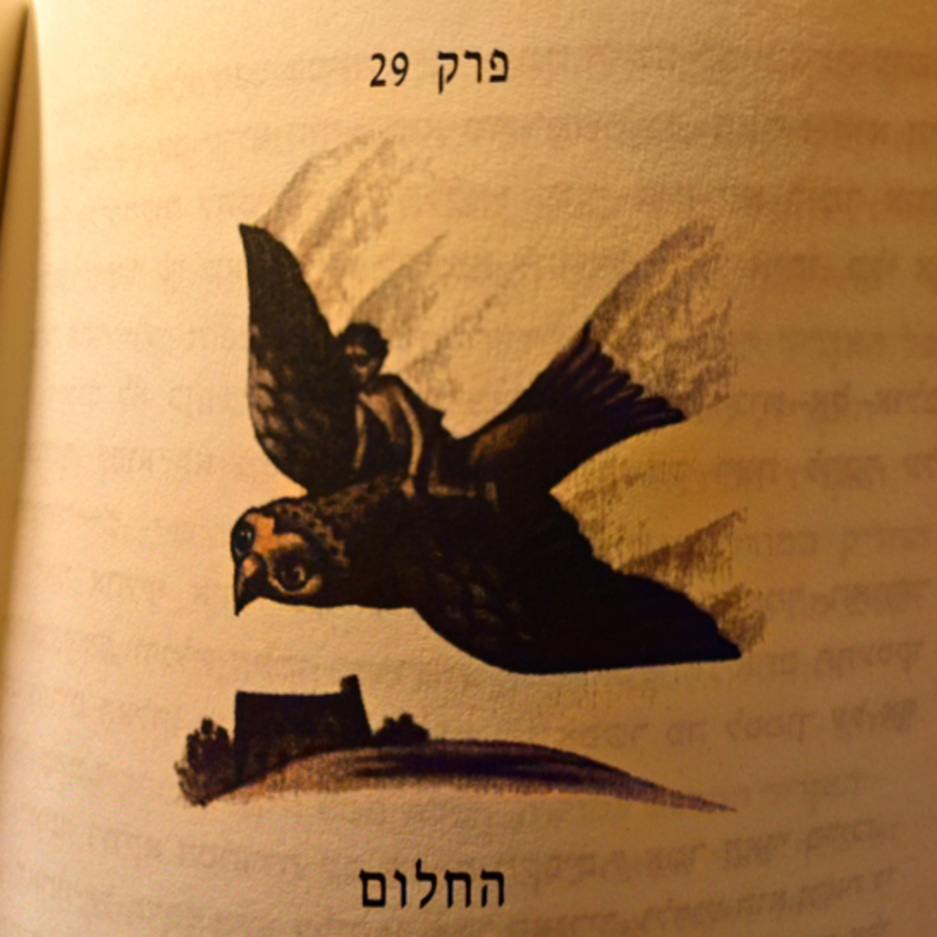 הארי פוטר וגביע האש - פרק 29 - החלום