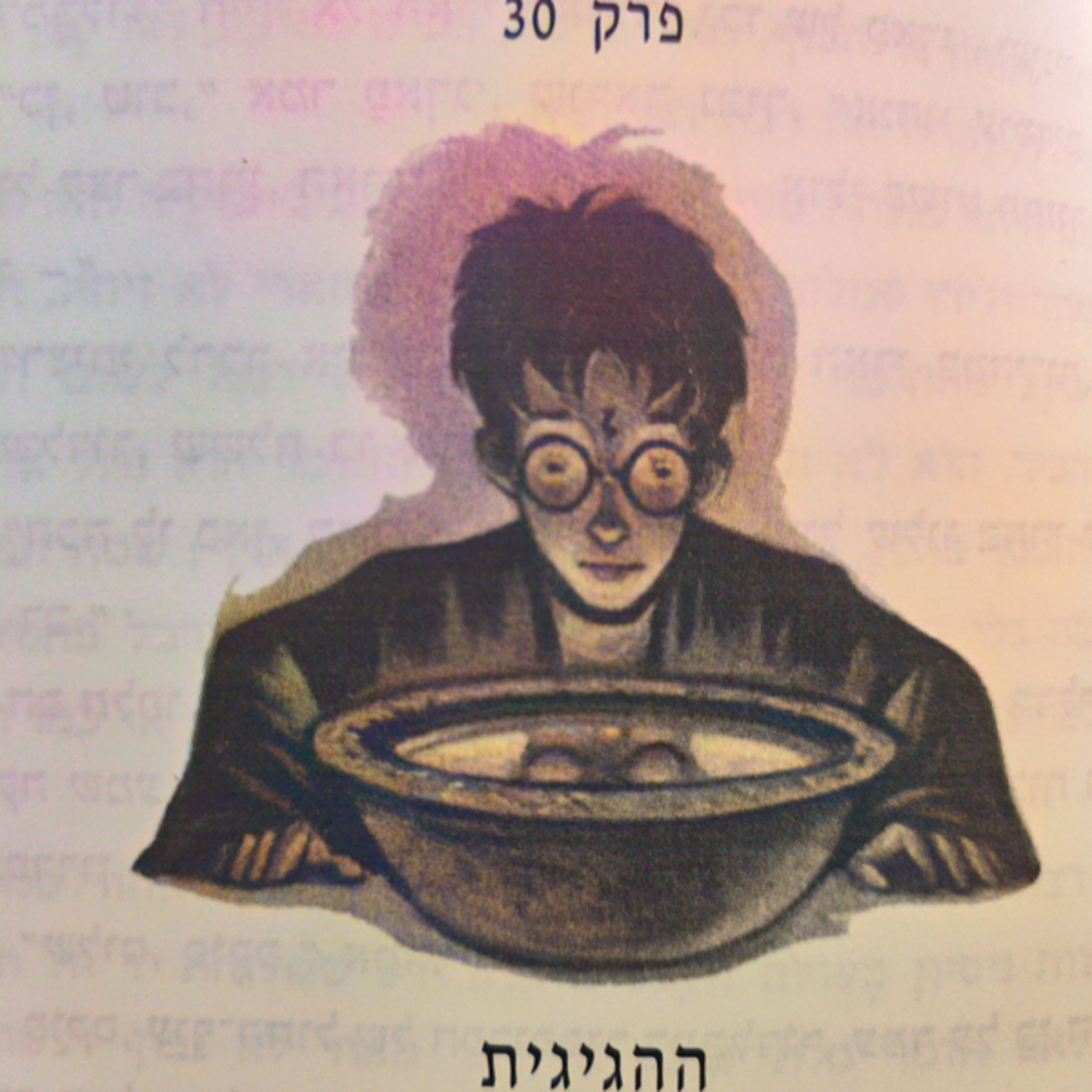 הארי פוטר וגביע האש - פרק 30 - ההגיגית