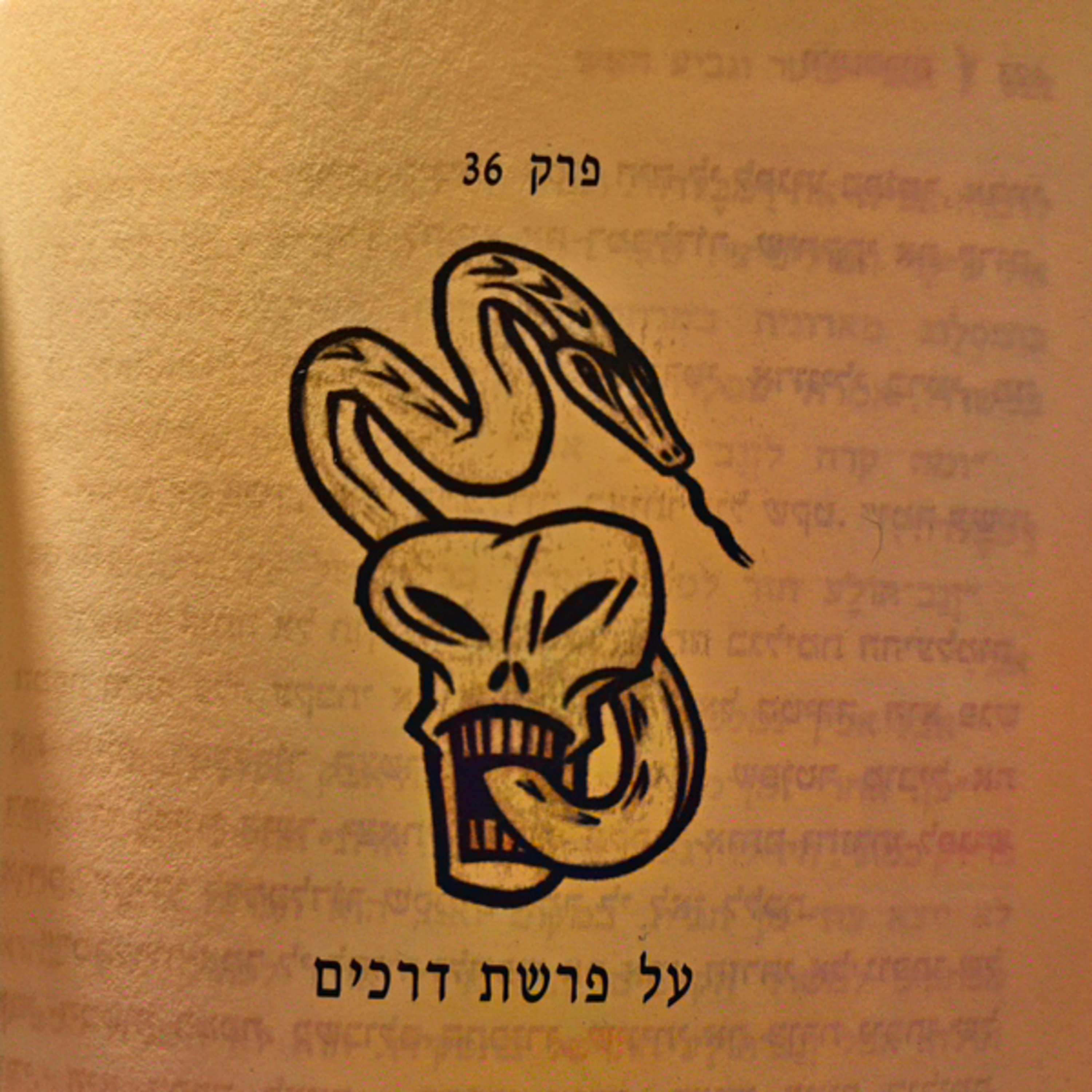 הארי פוטר וגביע האש - פרק 36 - על פרשת דרכים