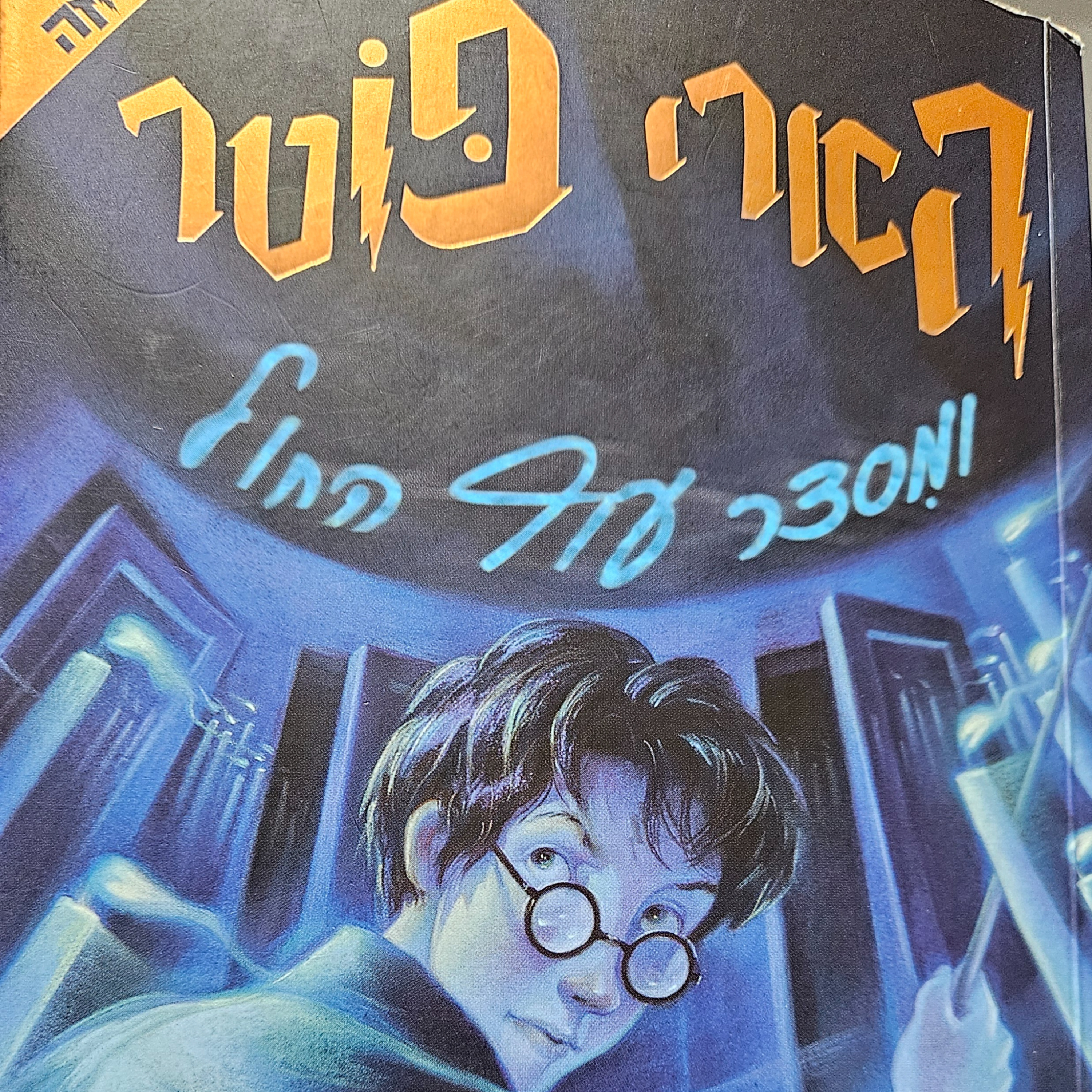 הארי פוטר ומסדר עוף החול - פרק 1 - דאדלי הרוס