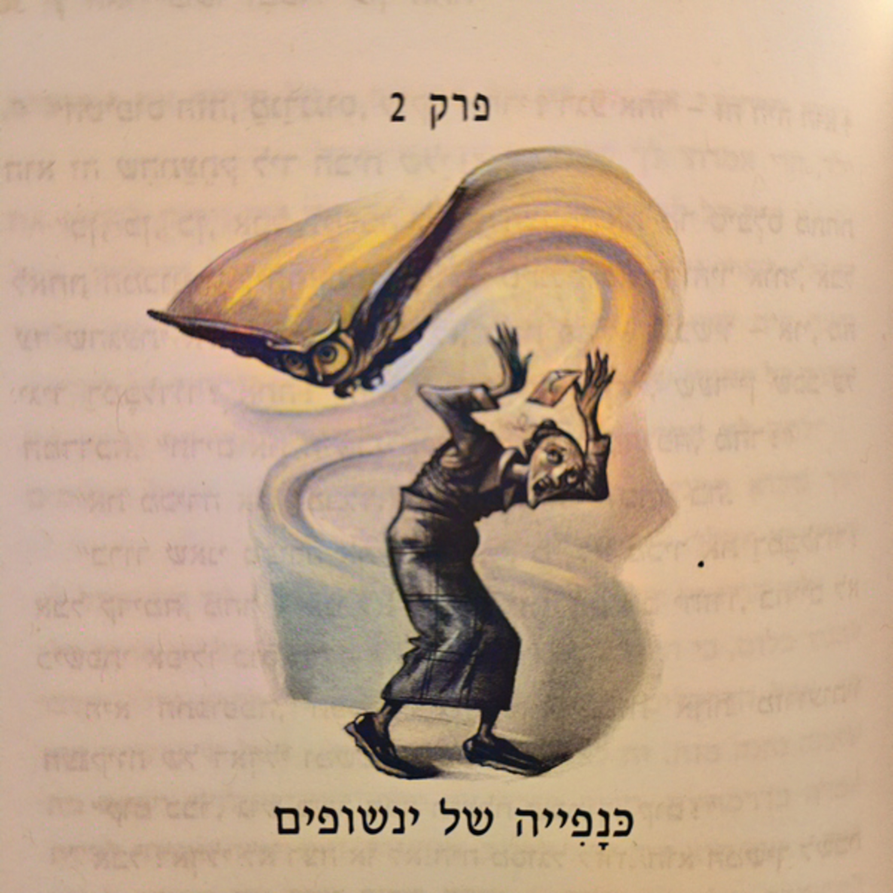 הארי פוטר ומסדר עוף החול - פרק 2 - כנפייה של ינשופים