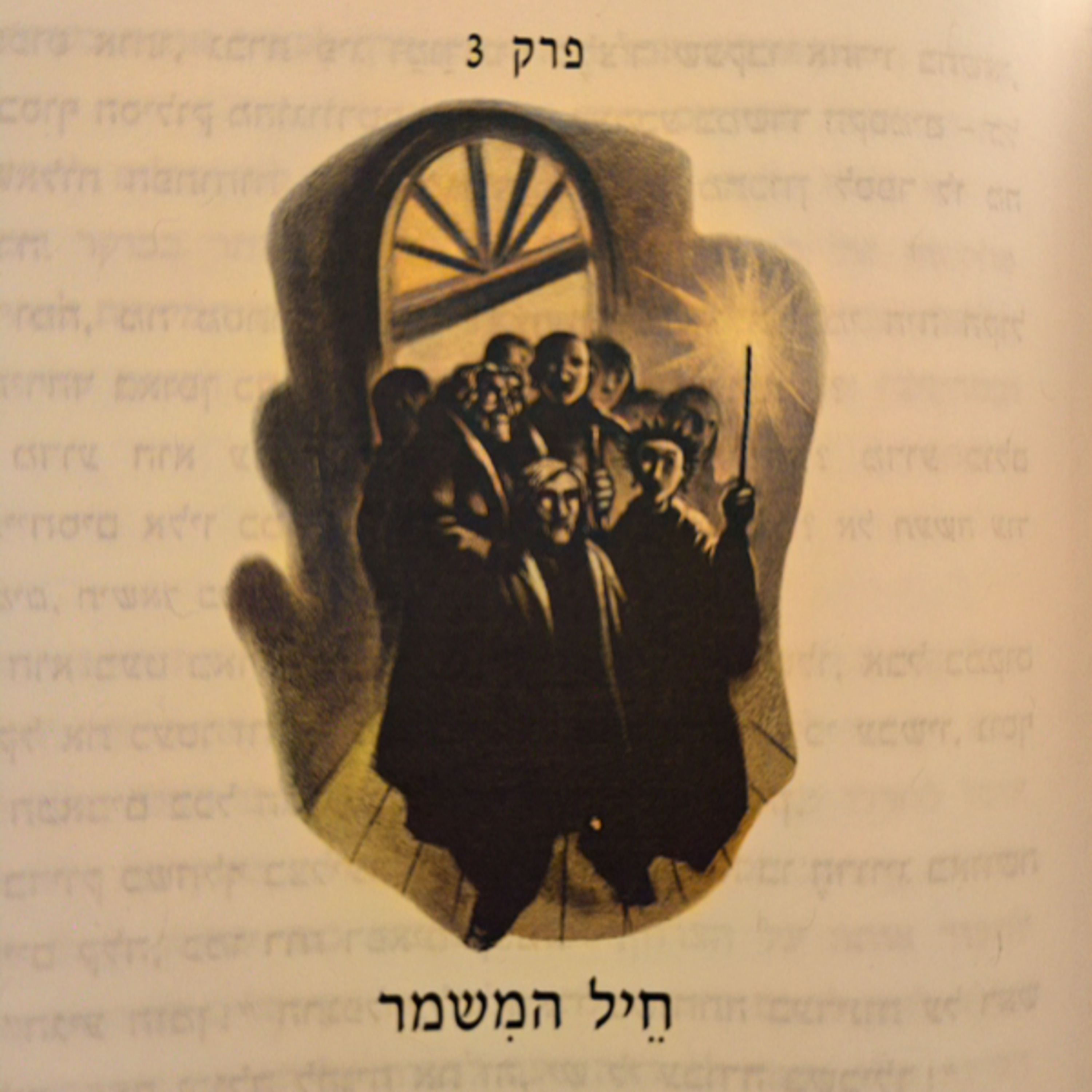 הארי פוטר ומסדר עוף החול - פרק 3 - חיל המשמר
