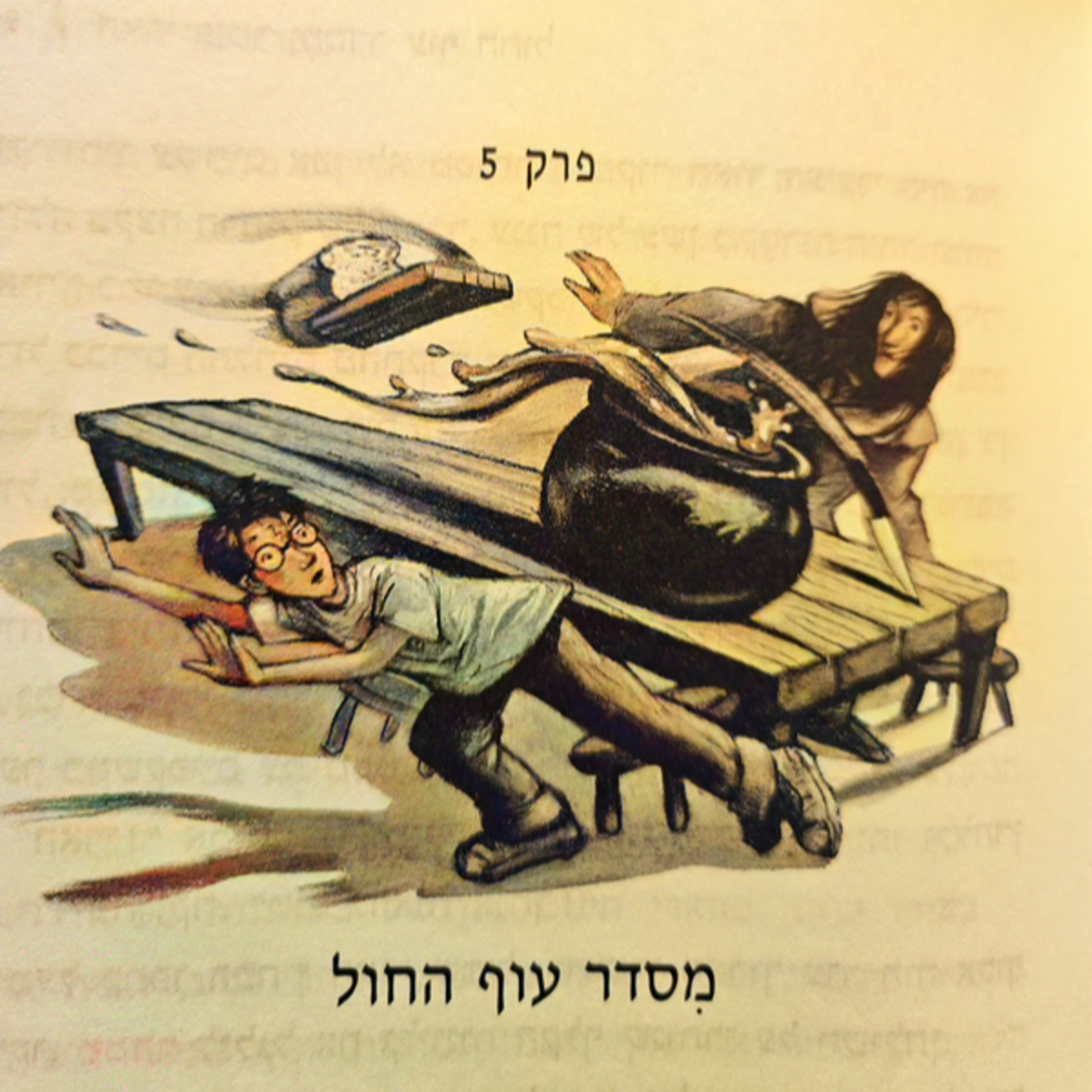 הארי פוטר ומסדר עוף החול - פרק 5 - מסדר עוף החול