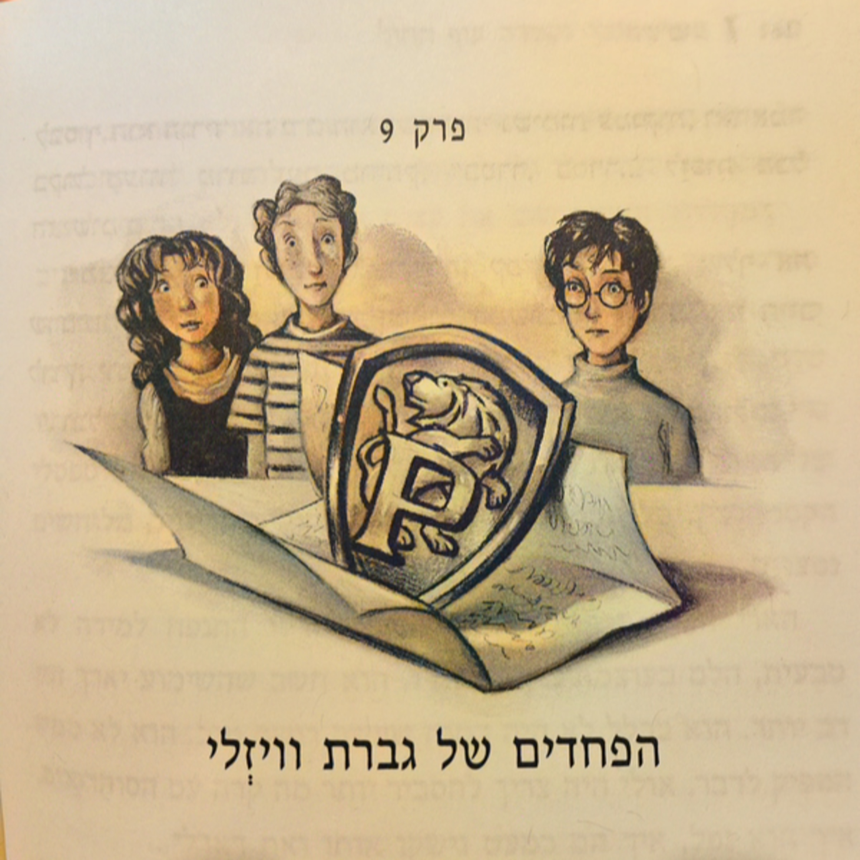 הארי פוטר ומסדר עוף החול - פרק 9 - הפחדים של גברת וויזלי