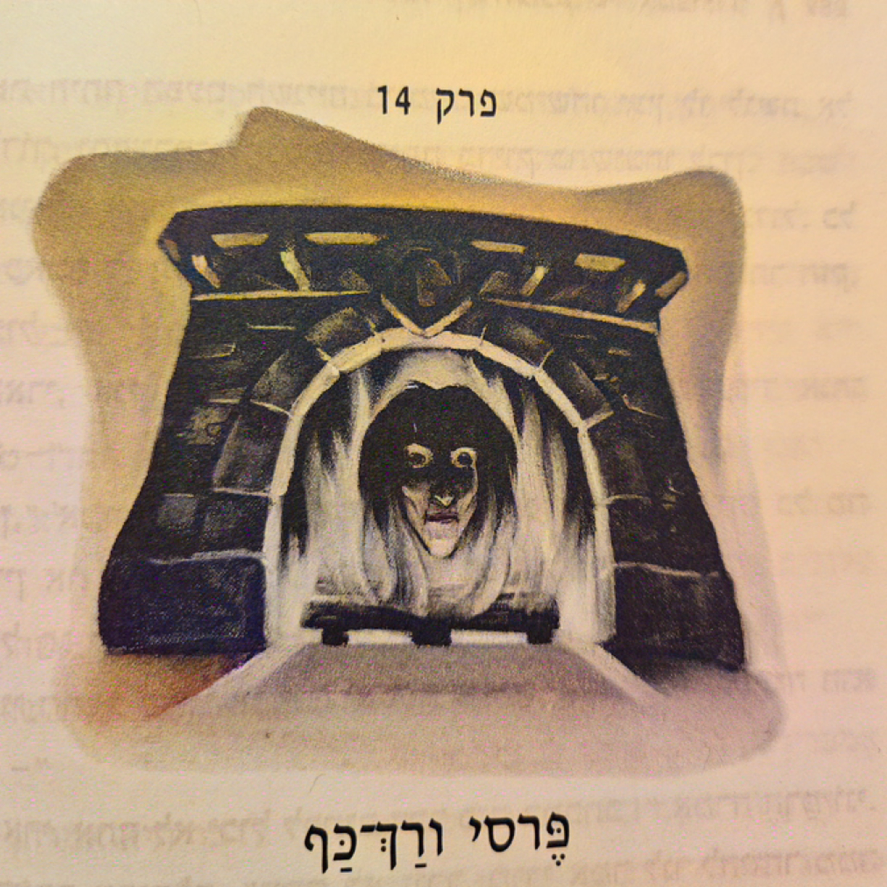 הארי פוטר ומסדר עוף החול - פרק 14 - פרסי ורך כף
