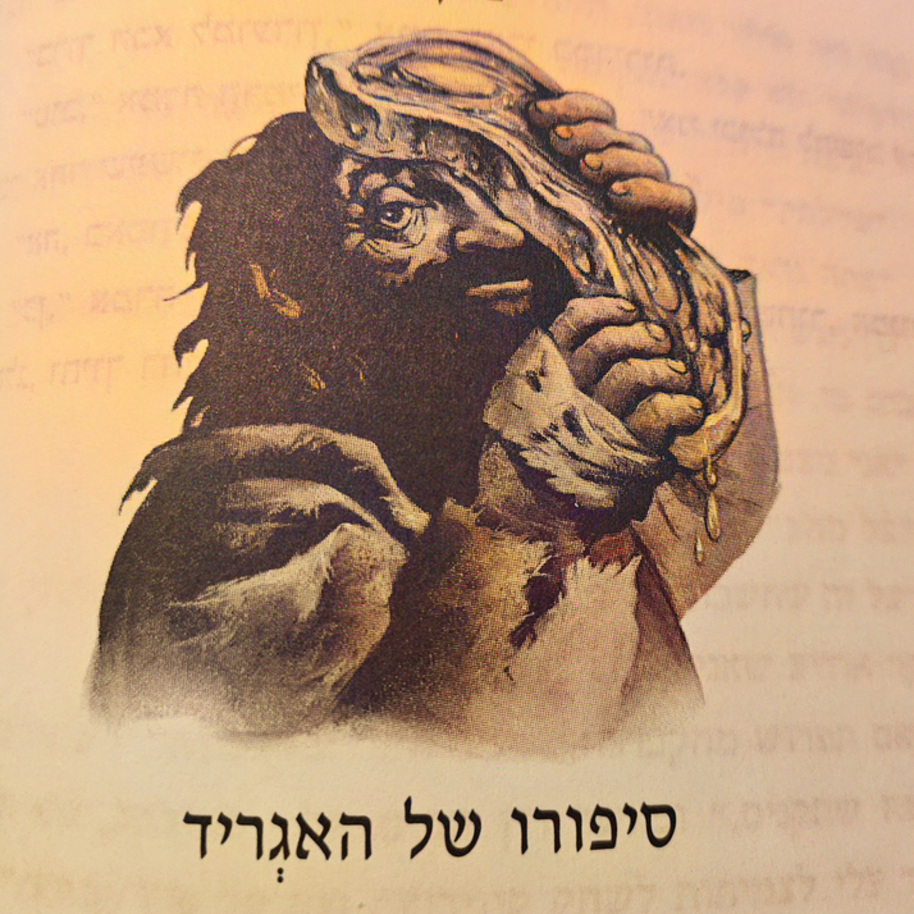 הארי פוטר ומסדר עוף החול - פרק 20 - סיפורו של האגריד