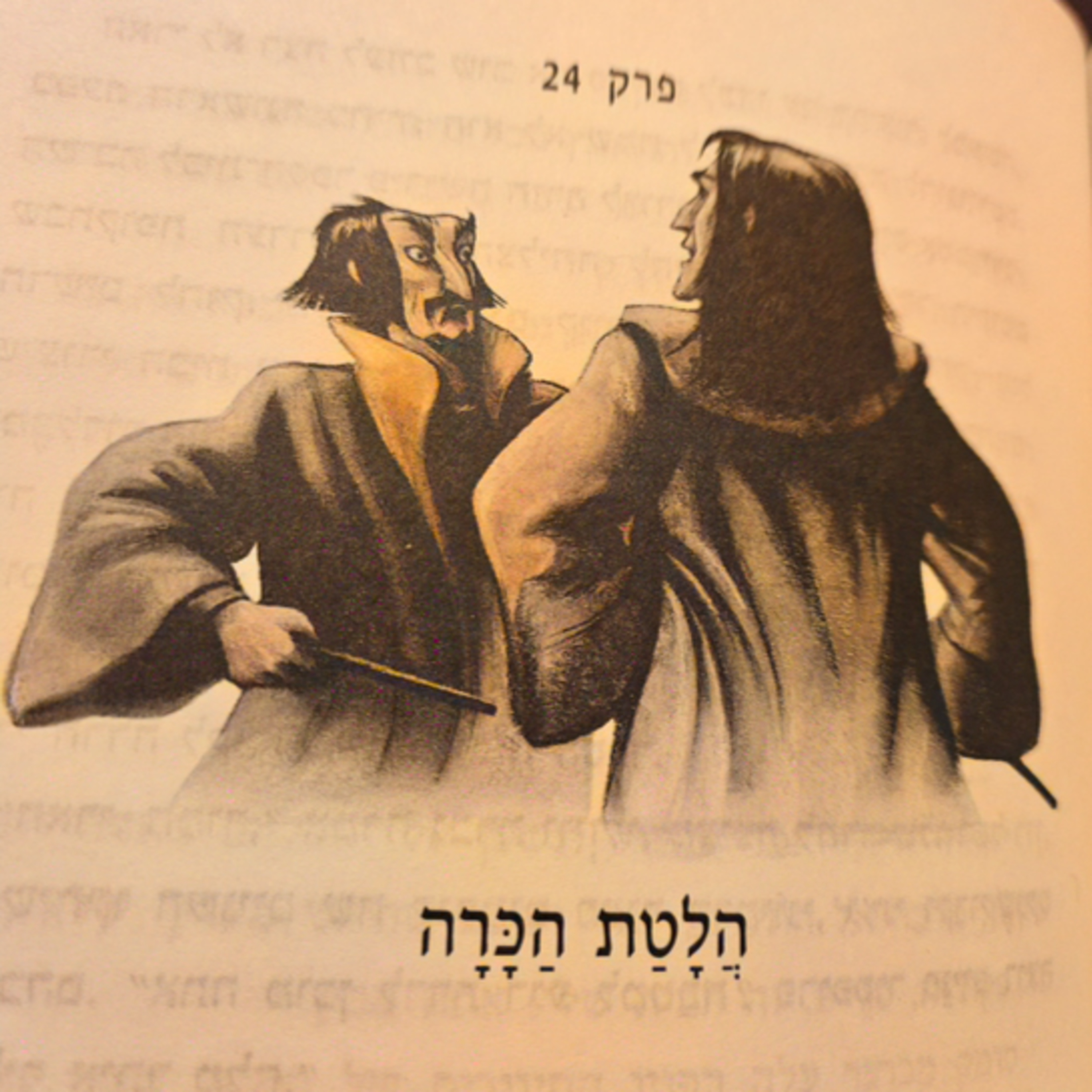 הארי פוטר ומסדר עוף החול - פרק 24 - הלטת הכרה