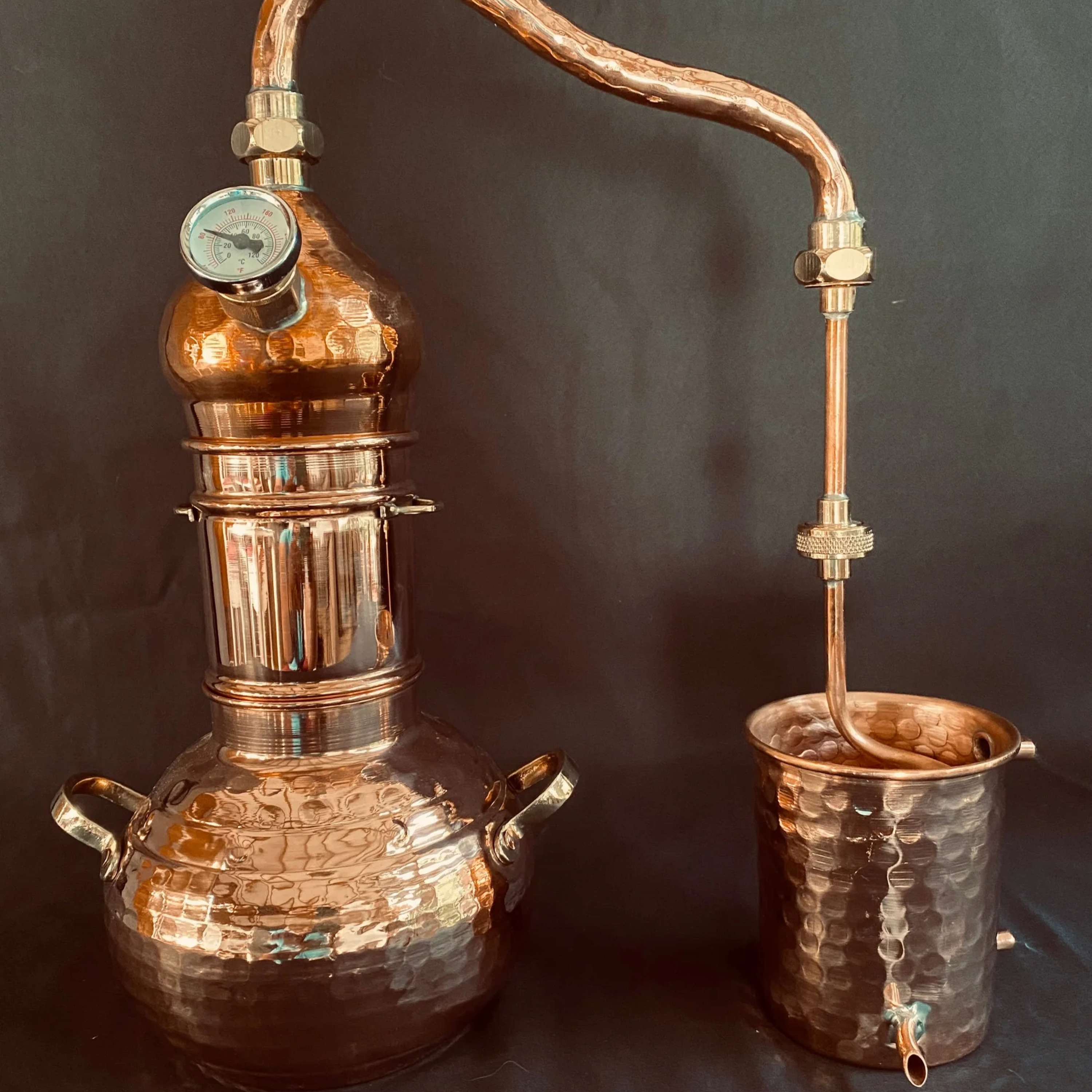 La Piscola Hocicona