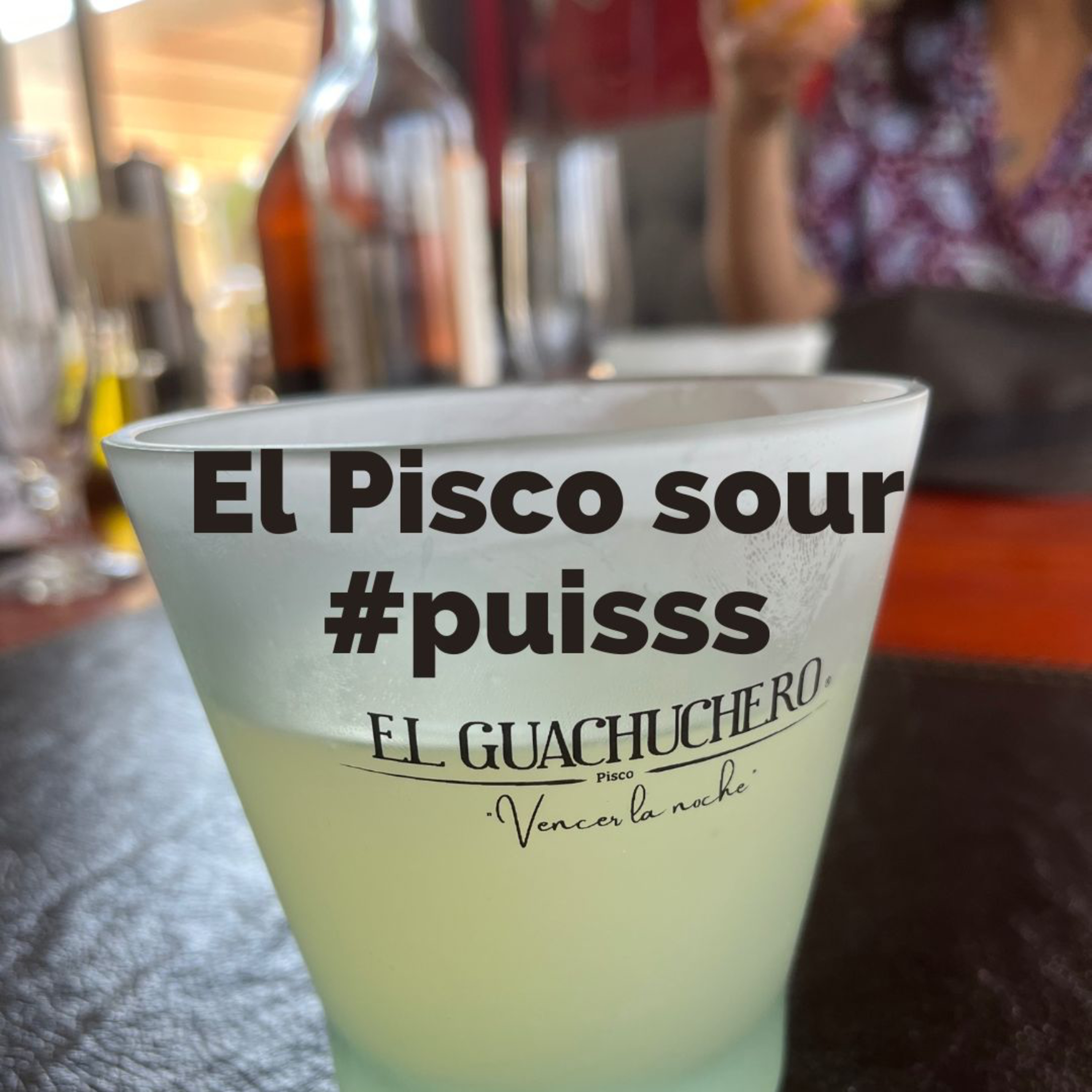La Piscola Hocicona