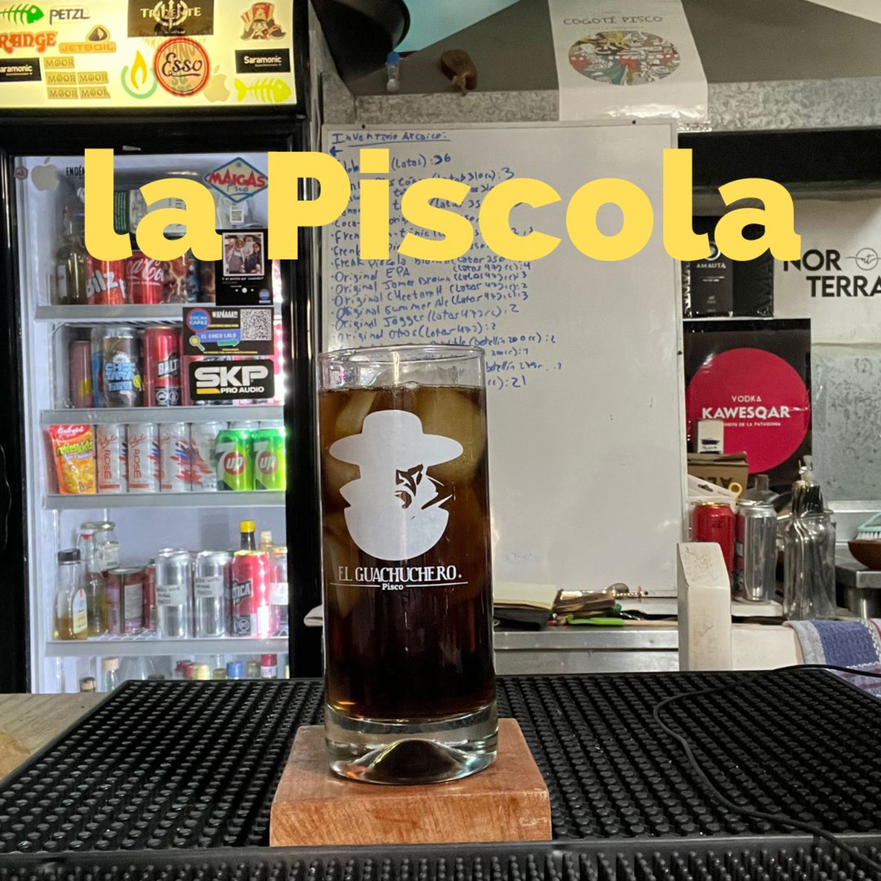La Piscola Hocicona