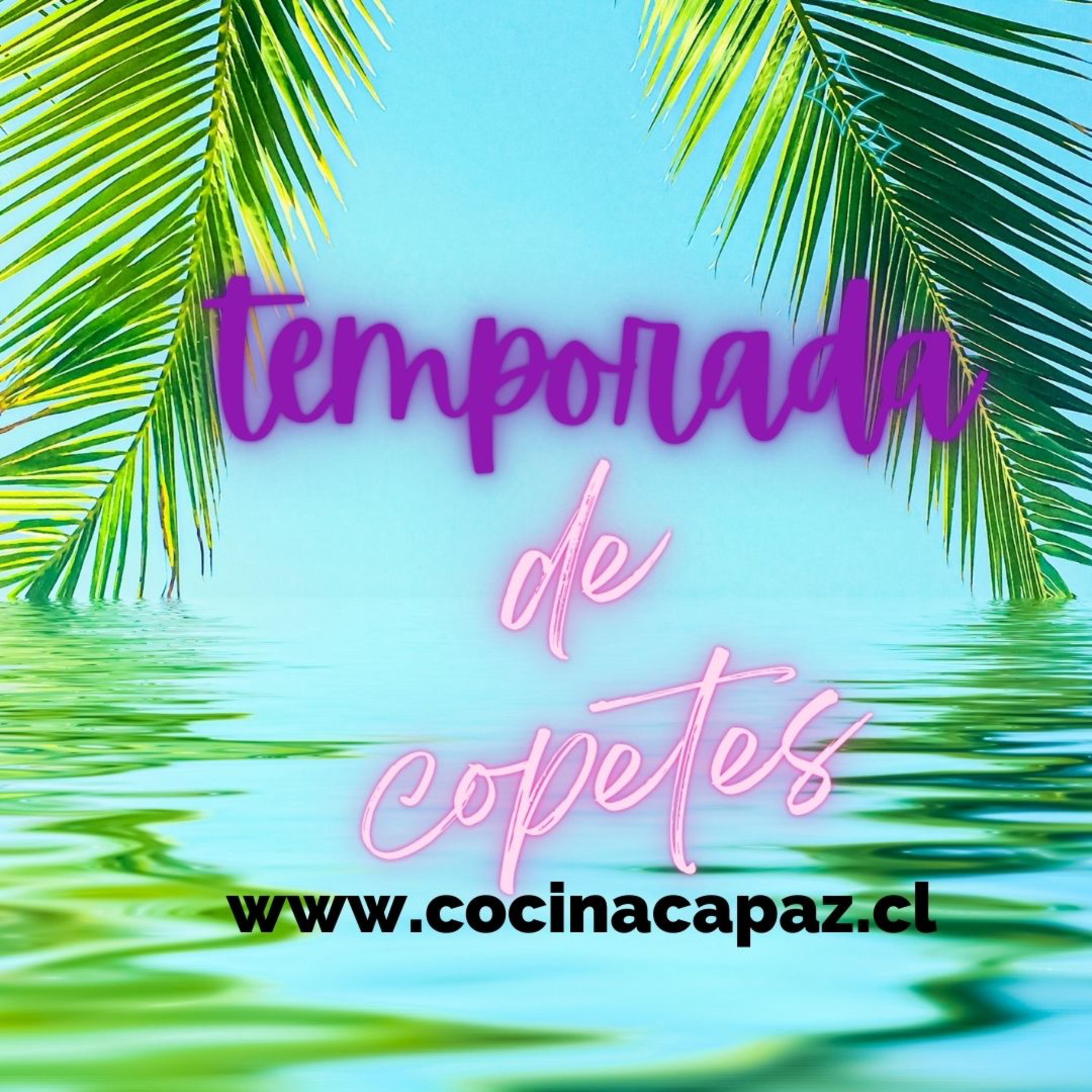 La Piscola Hocicona