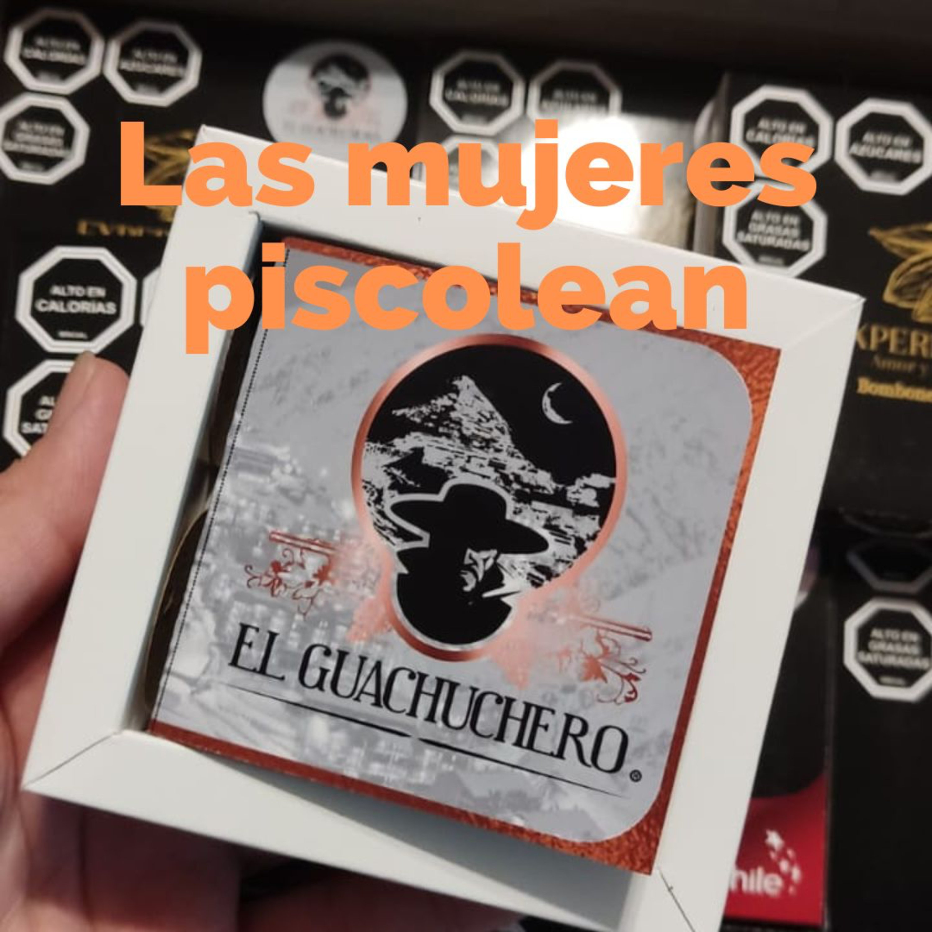 La Piscola Hocicona