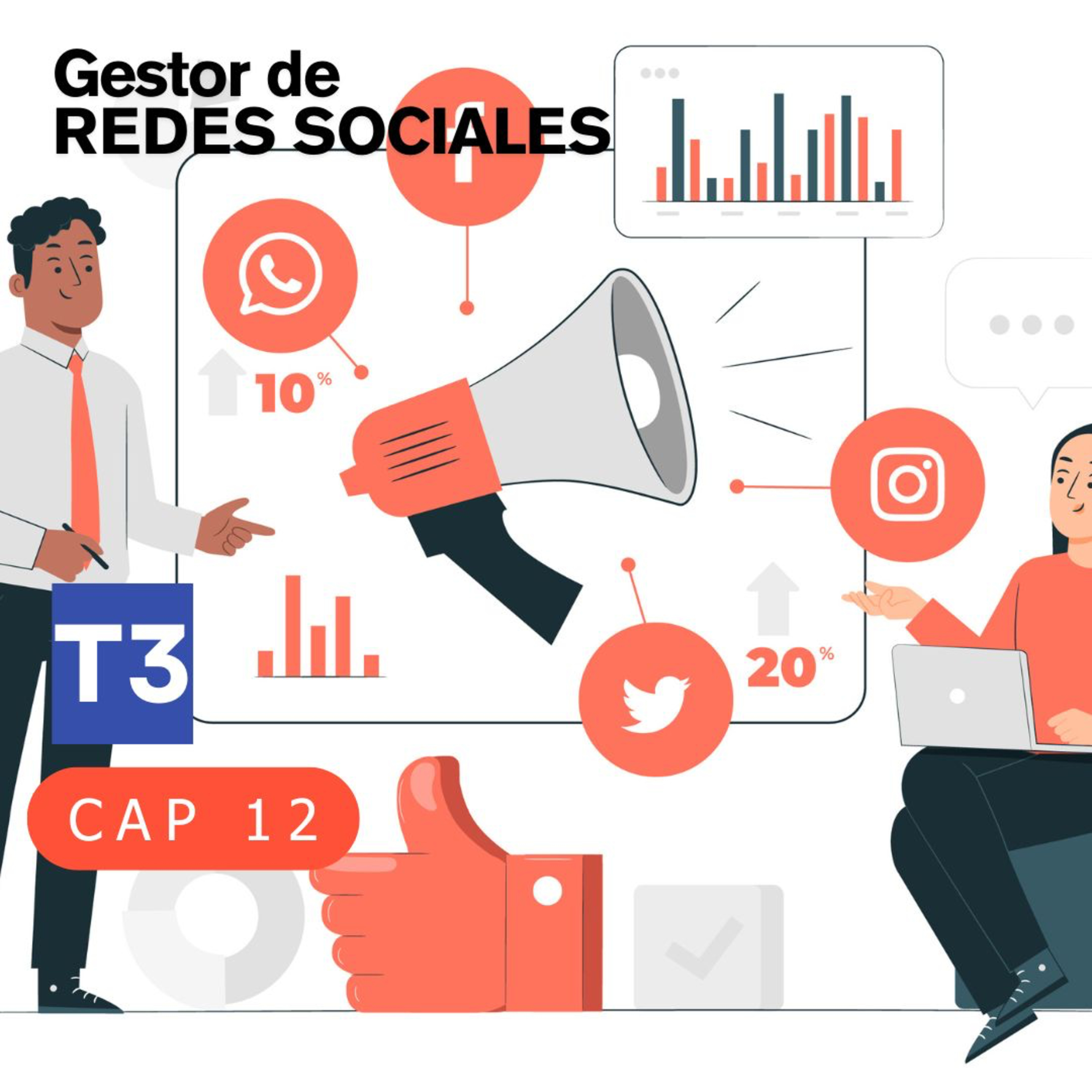 t3 cap 12. Gestor de Redes Sociales #puisss