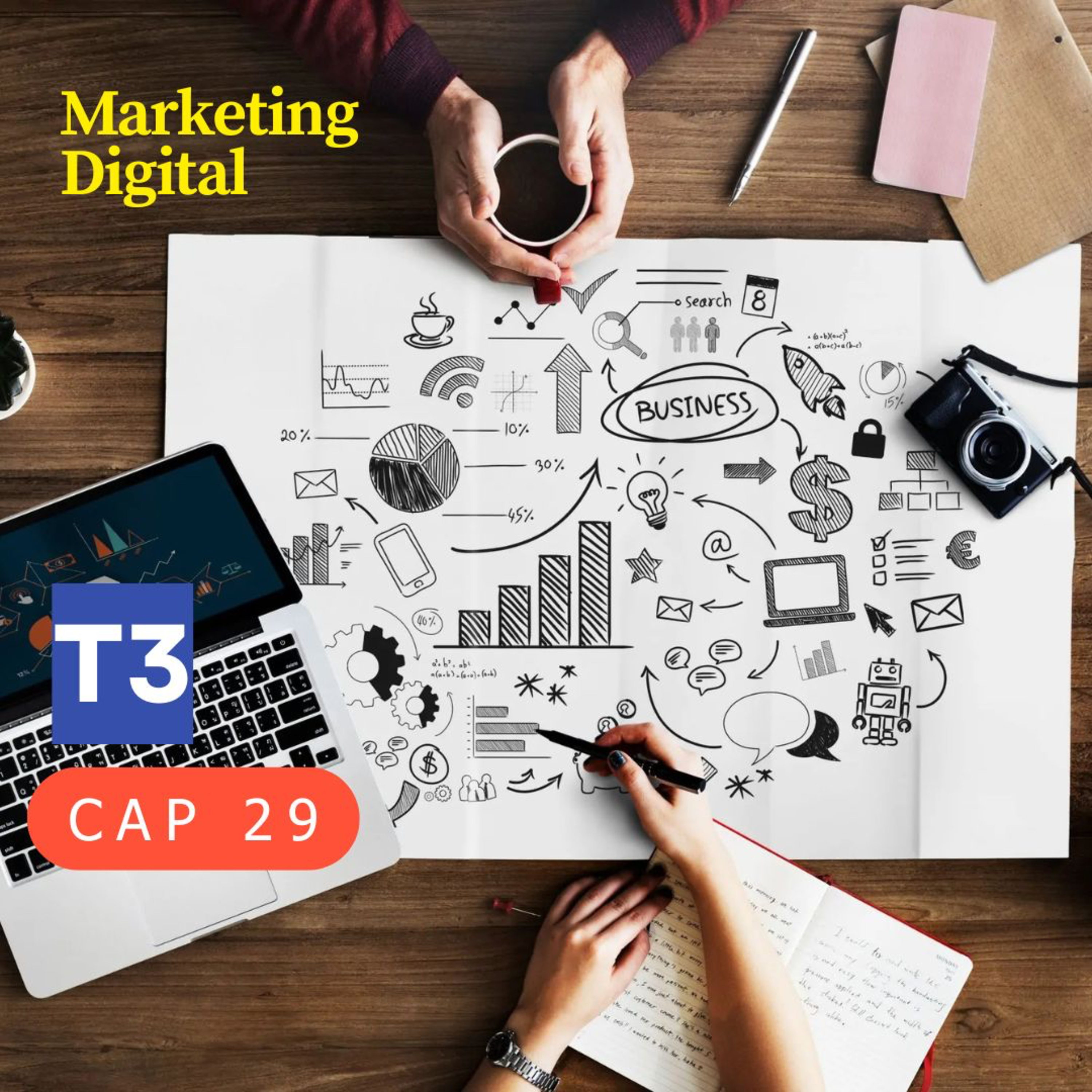 t3 cap 29. Marketing Digital #puisss