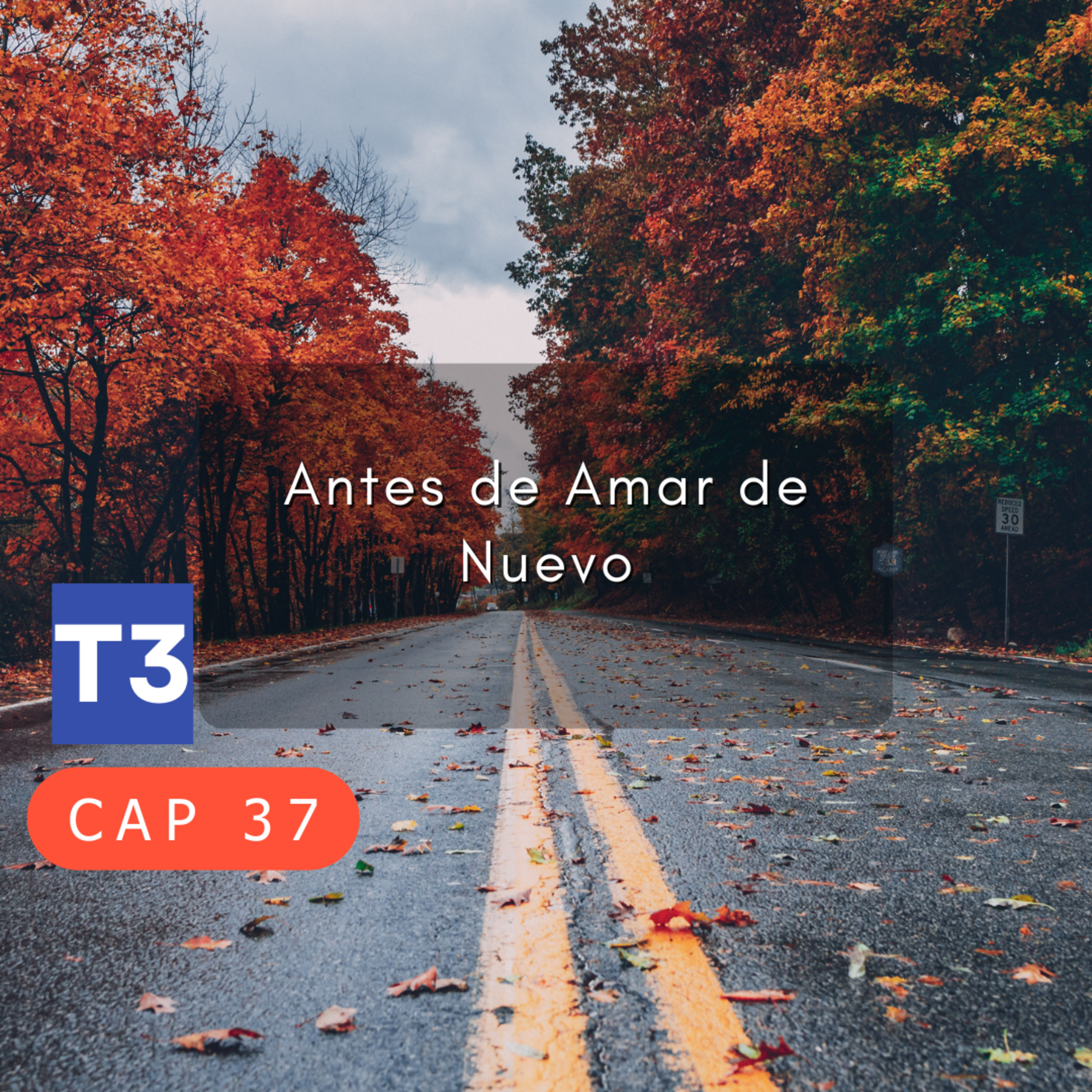 t3 cap 37. Antes de amar de nuevo #puisss episode artwork
