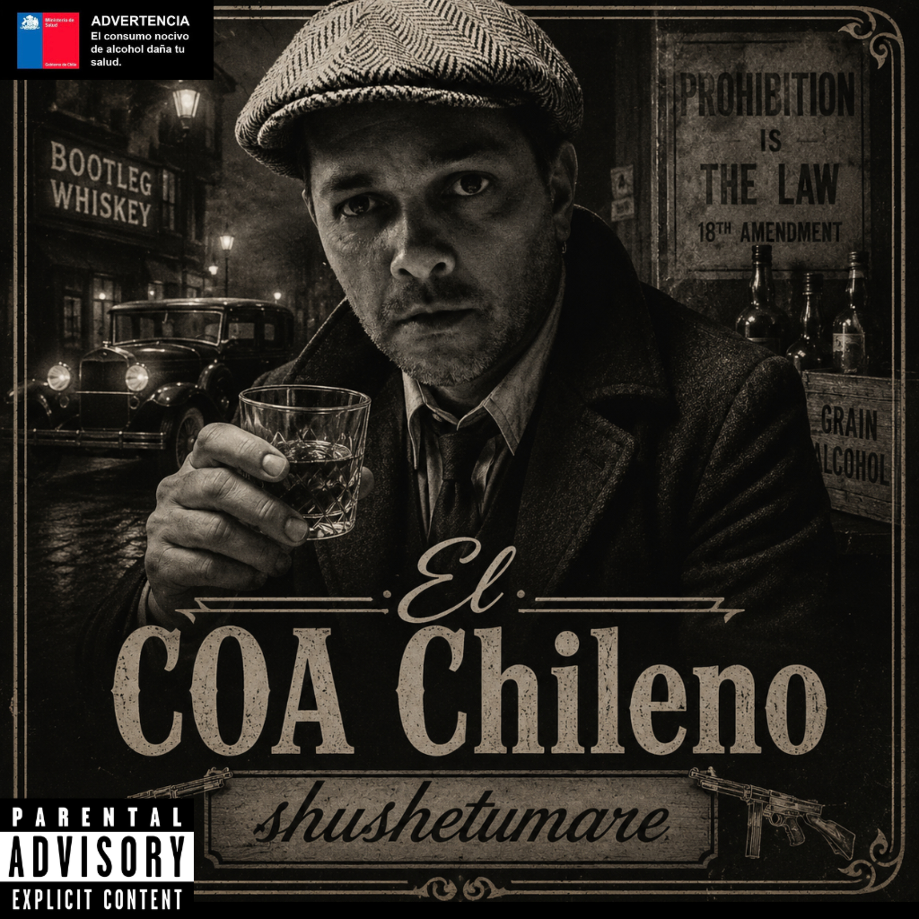 El COA Chileno ShuSheTuMare #puisss episode artwork