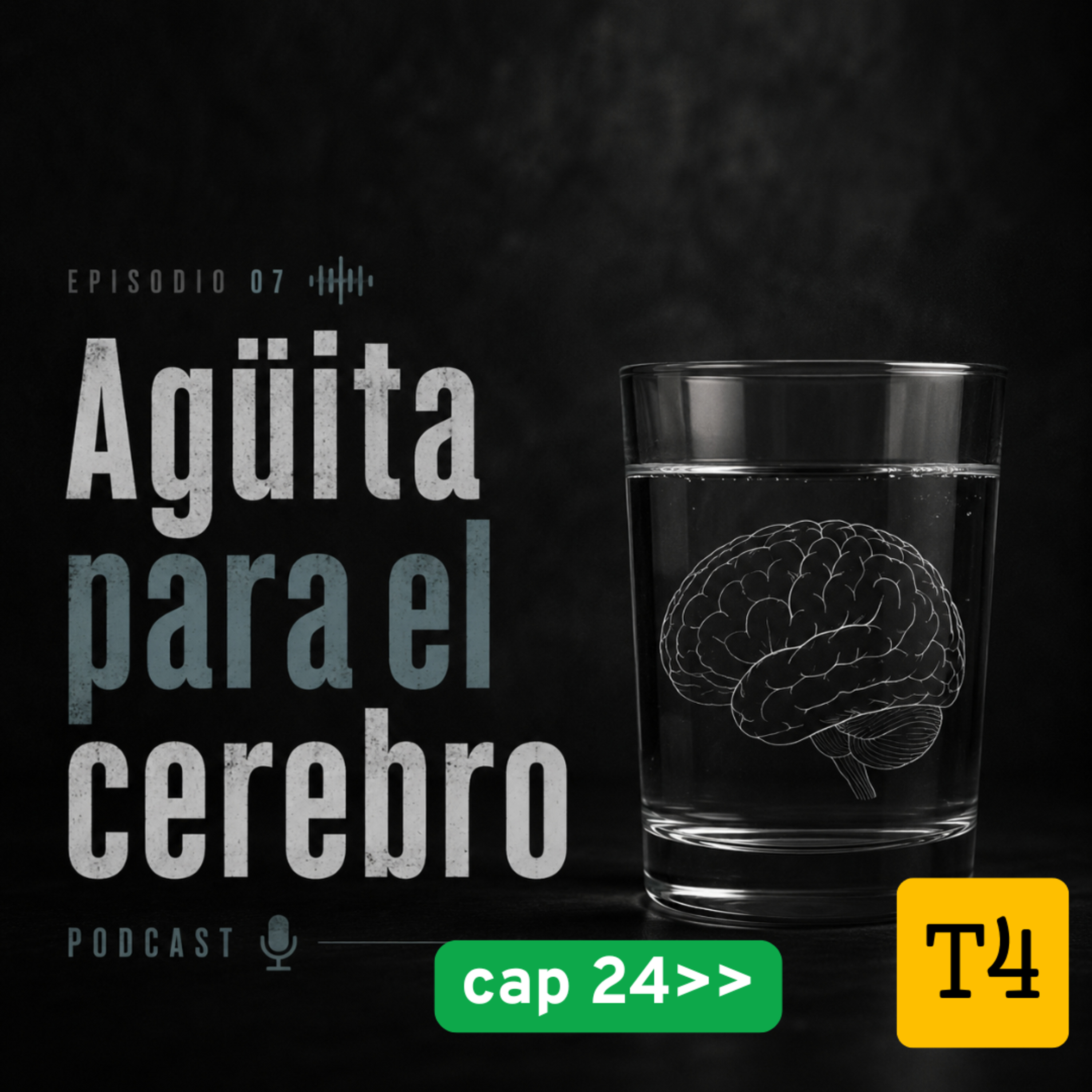 t4 cap 24 Agüita para el cerebro #puisss episode artwork