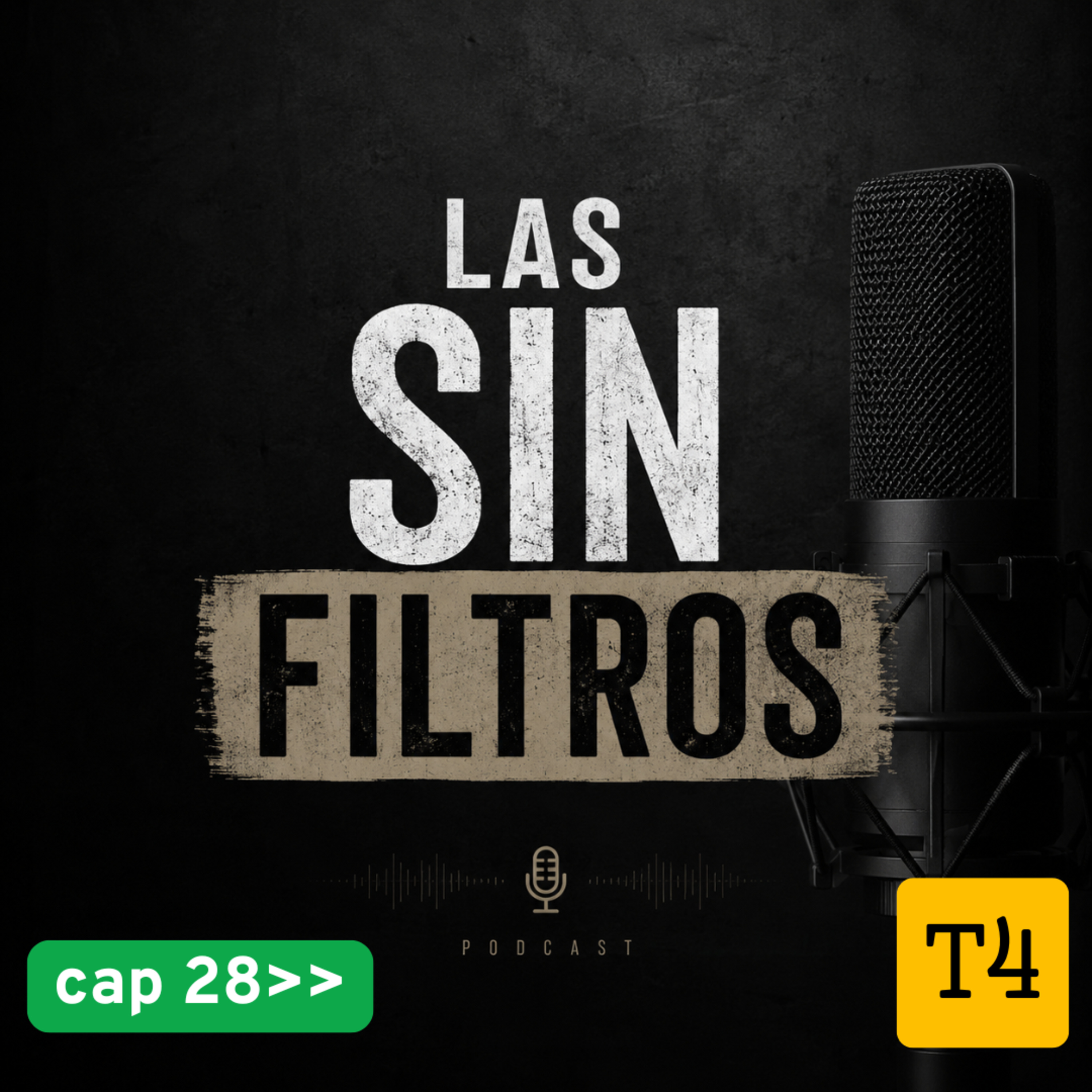 t4 cap 28 Las sin filtros #puisss episode artwork