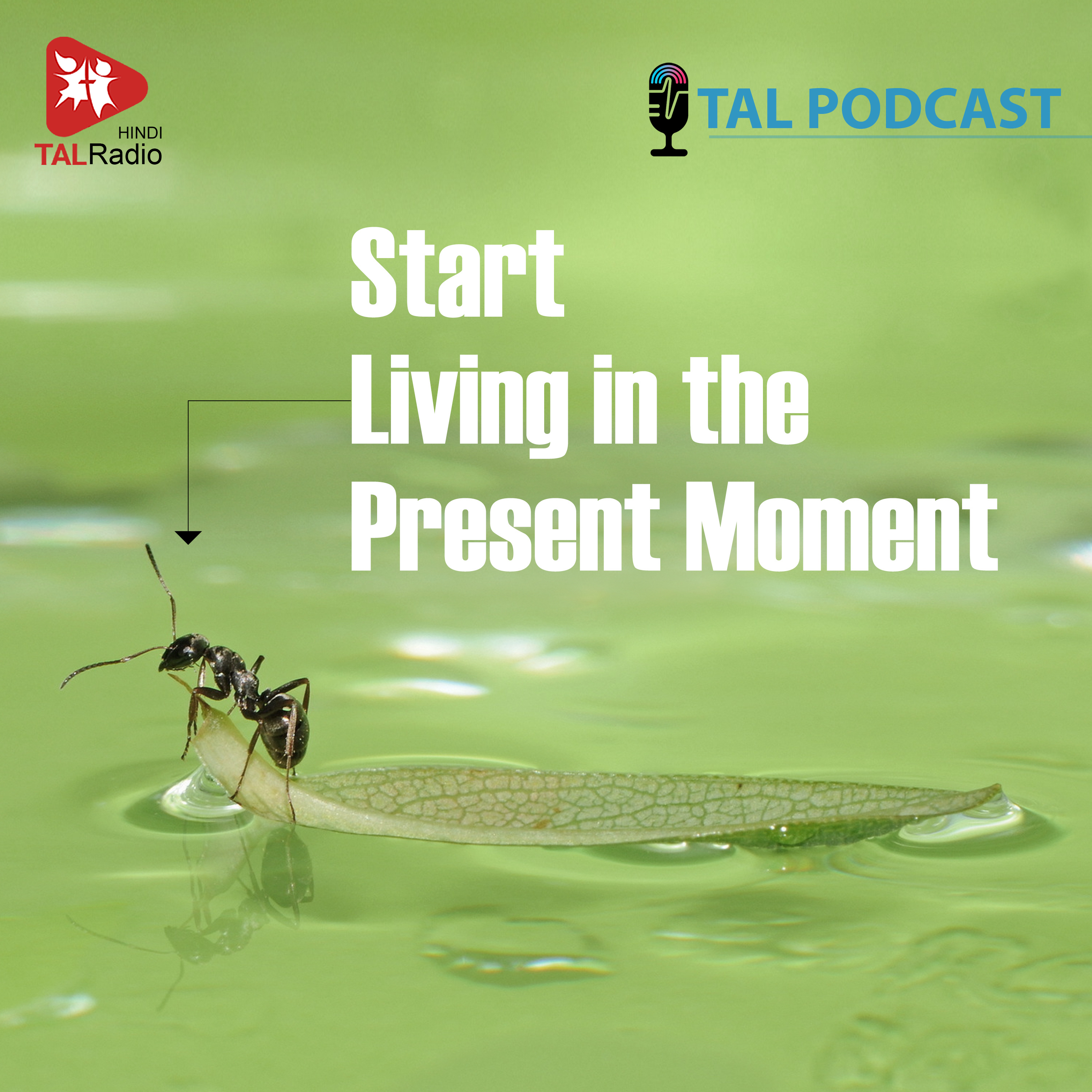 Start Living In The Present Moment.. episode artwork