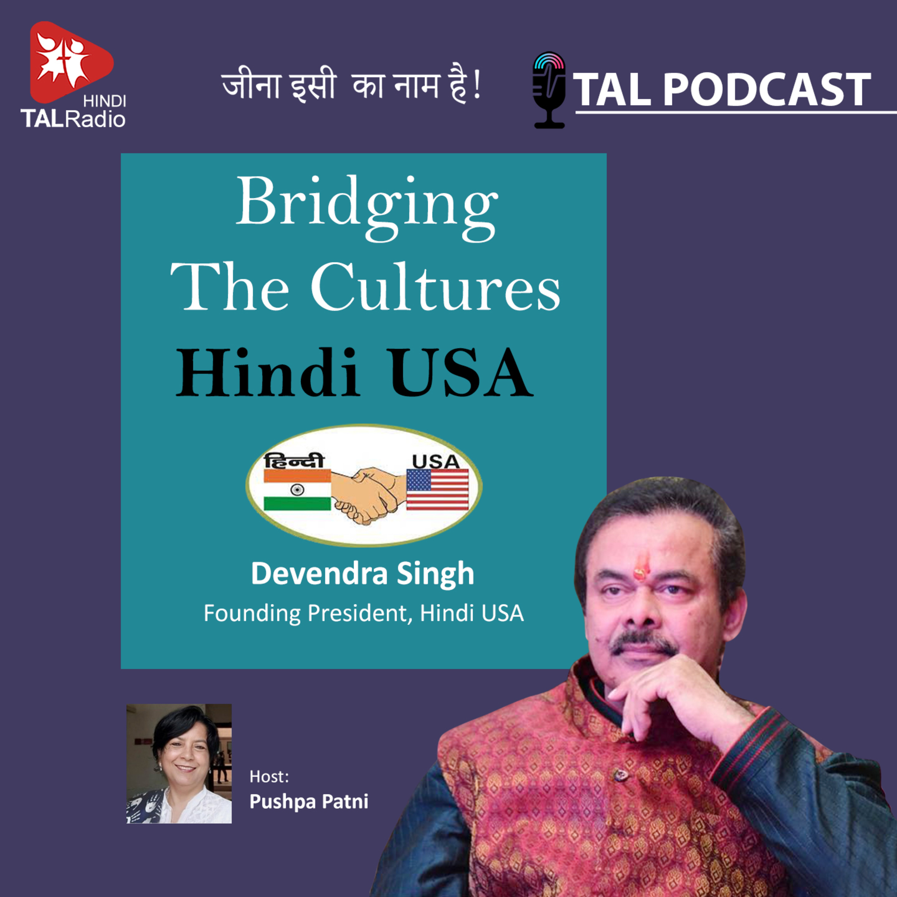 Bridging the Cultures - Hindi USA Organisation  episode artwork