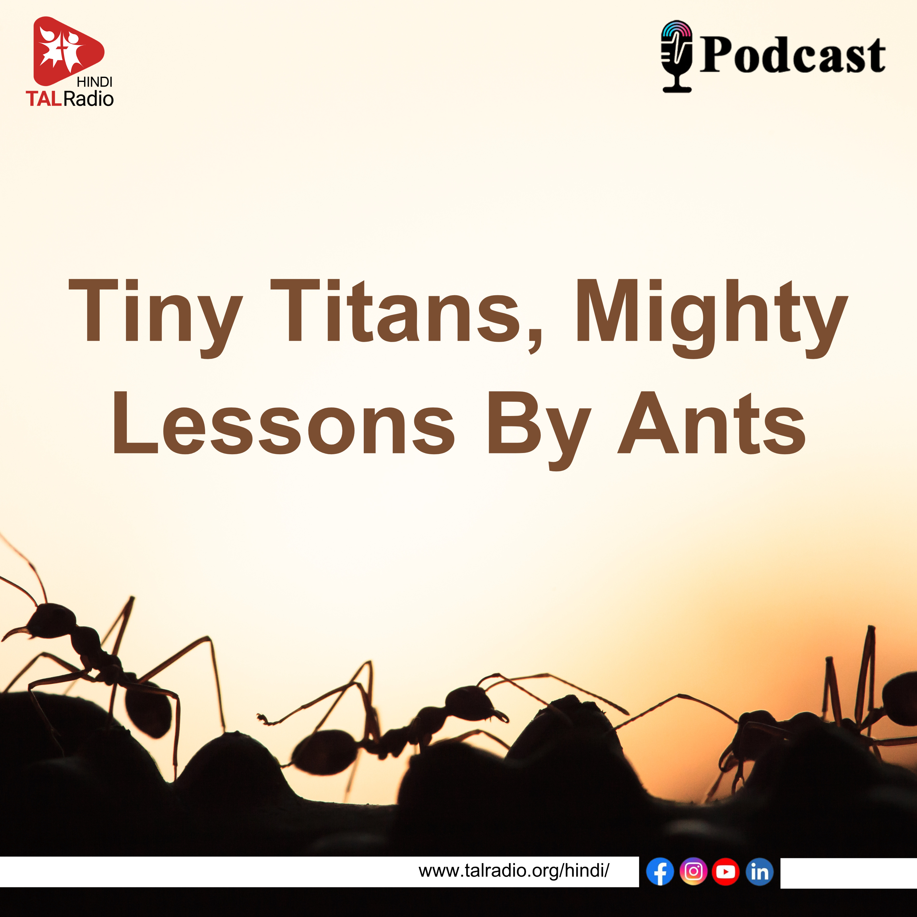 Ants Secrets to Productivity Success episode artwork