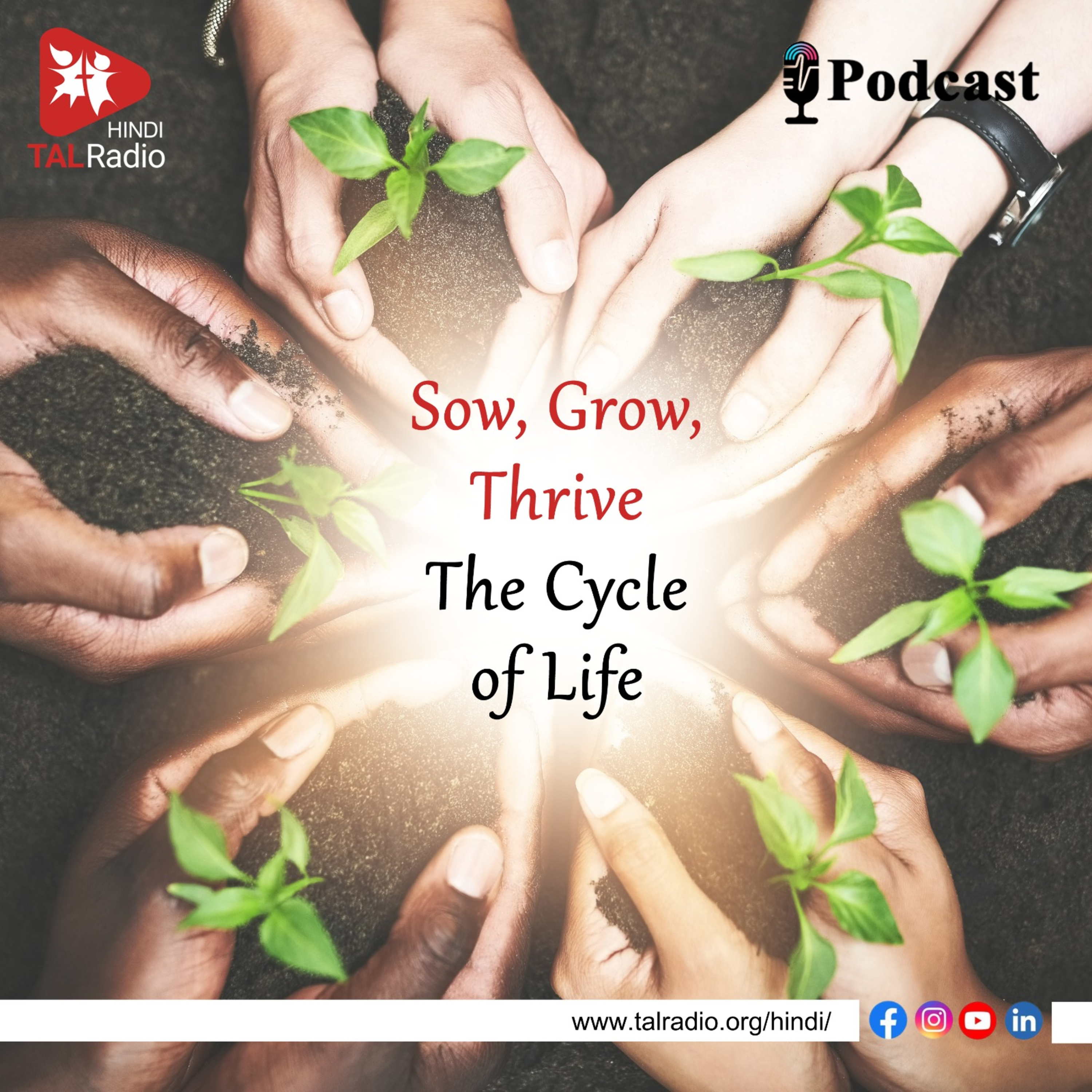 Plant, Nurture, Flourish... episode artwork