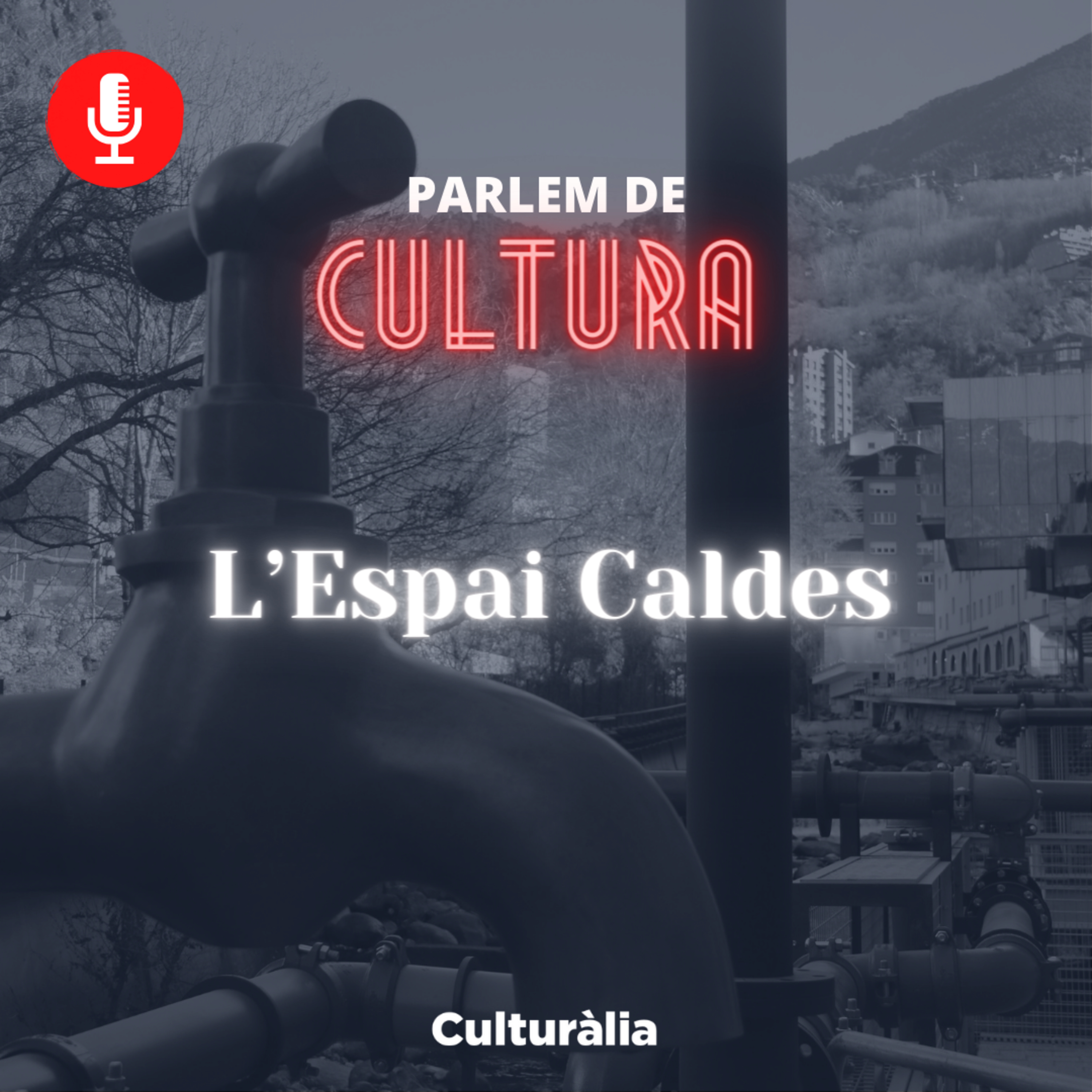 Parlem de Cultura